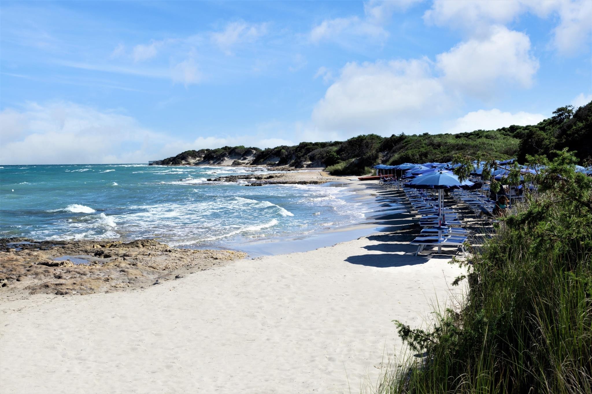 VOI Daniela Essentia