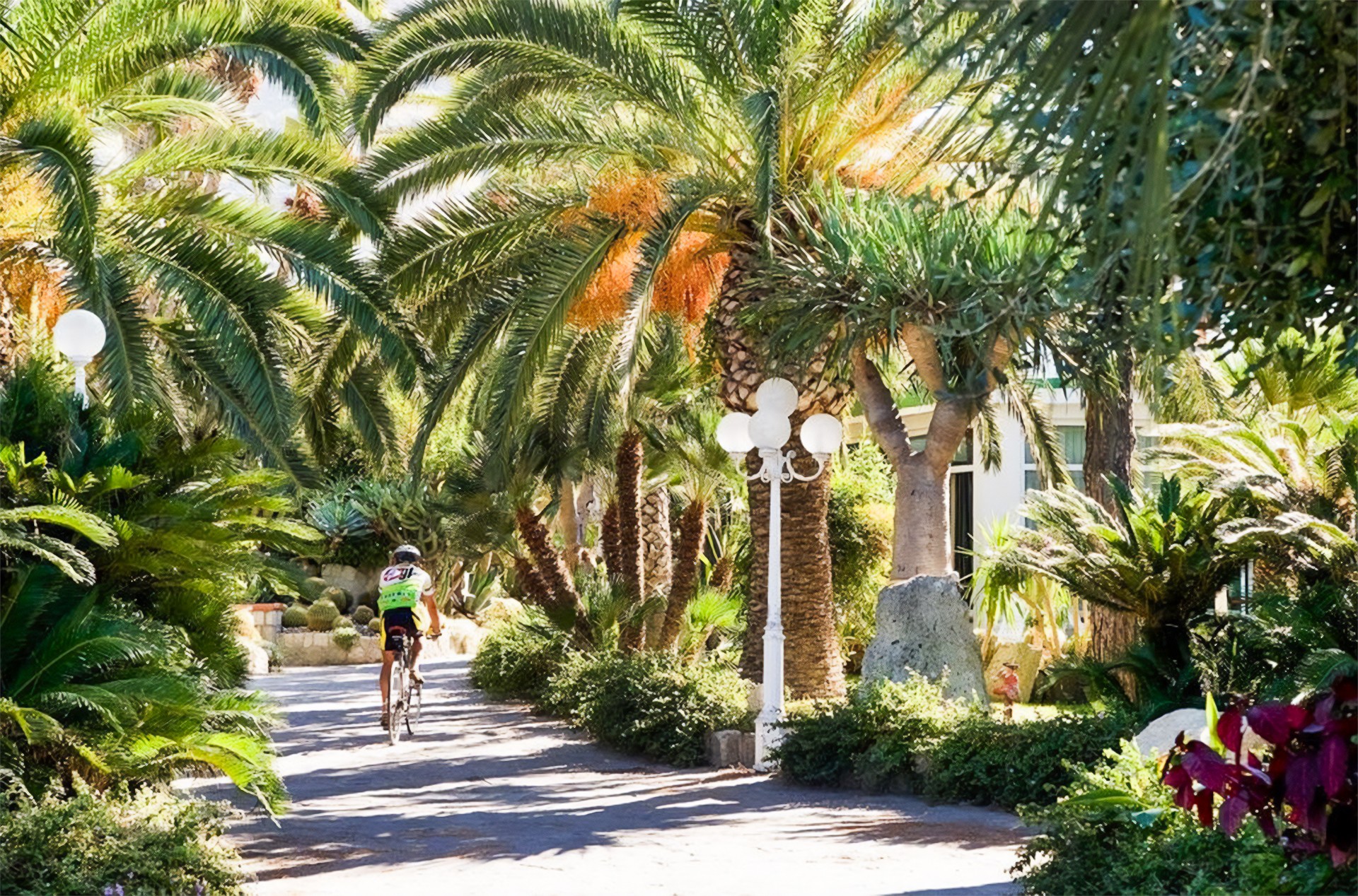 Park Hotel Terme Mediterraneo 21