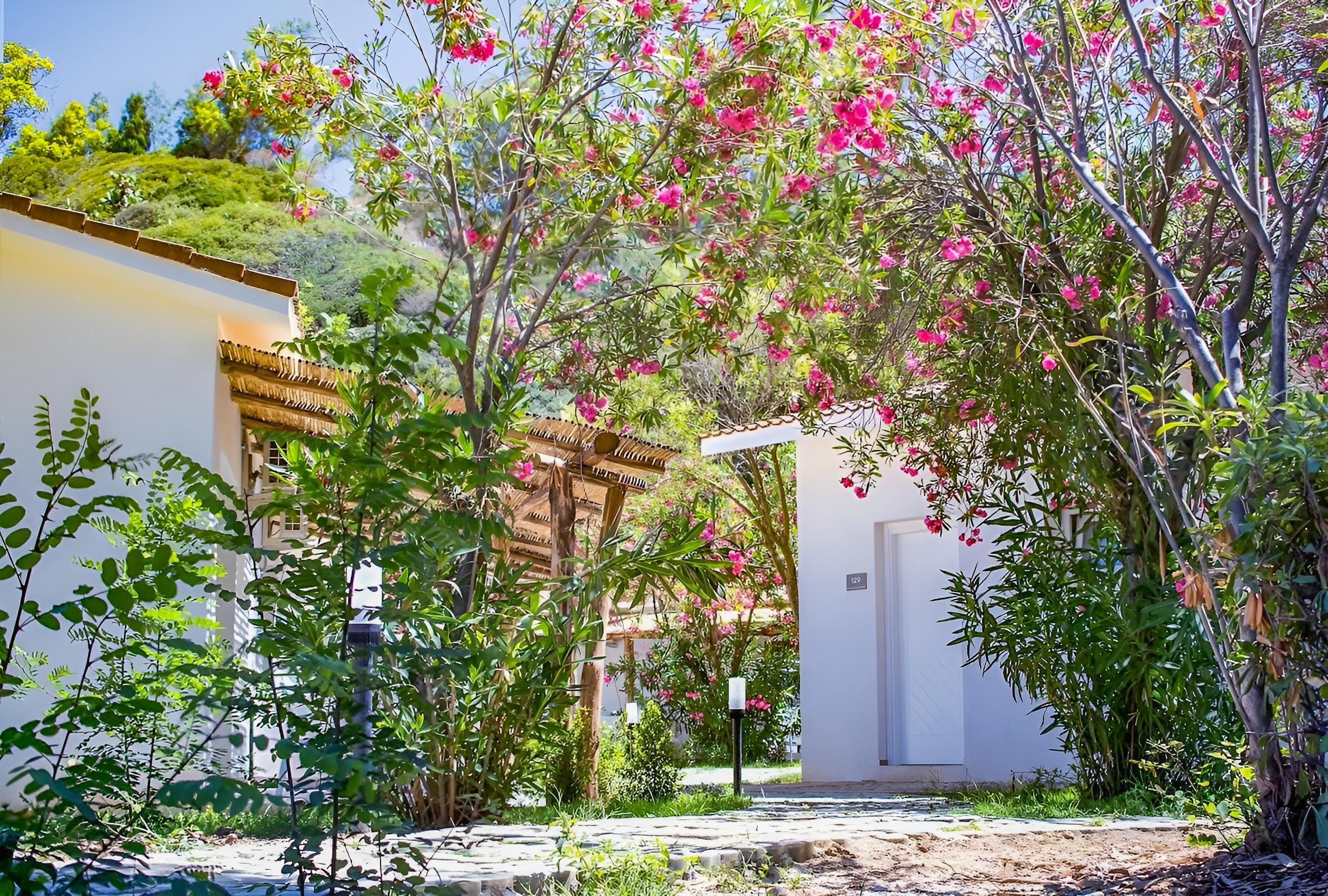 BV Kalafiorita Resort 27