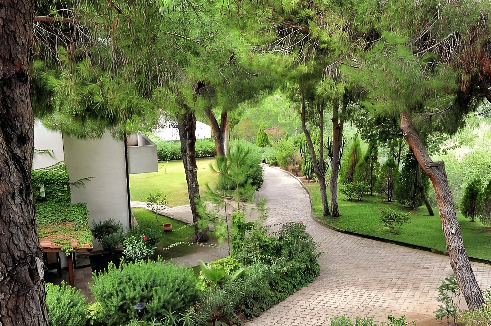 Pineta Petto Bianco Villaggio Residence 10