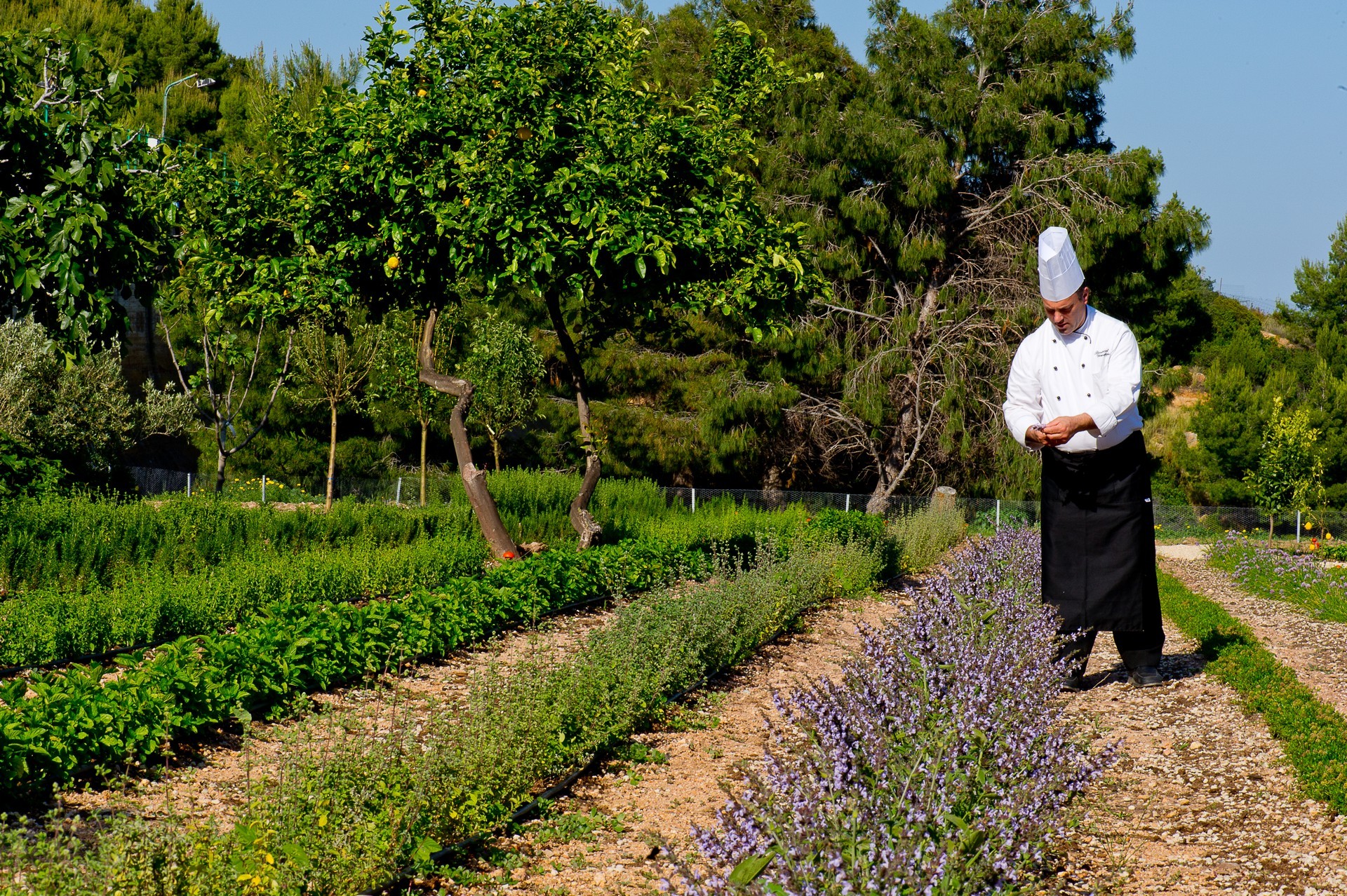 Forte Village Resort - Villa del Parco & SPA 21