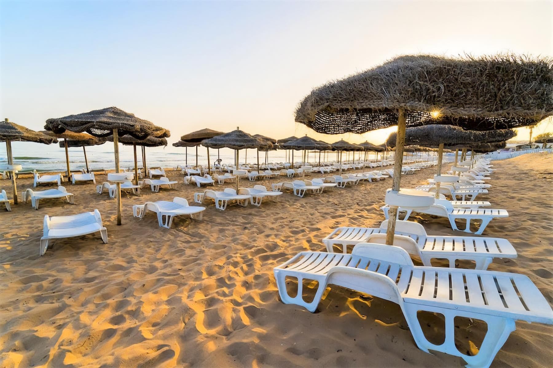 Baia Del Sole Hotel Sul Mare 6