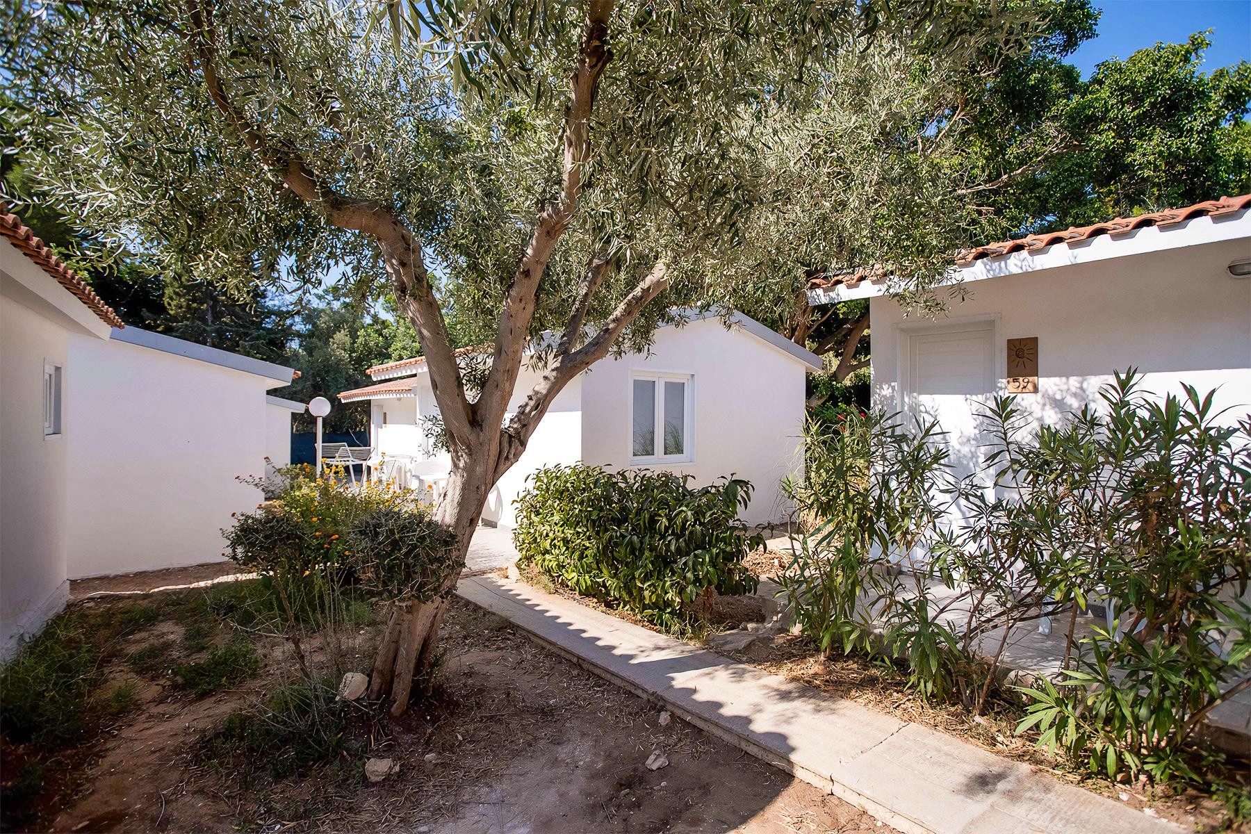 Baia Del Sole Hotel Sul Mare 20