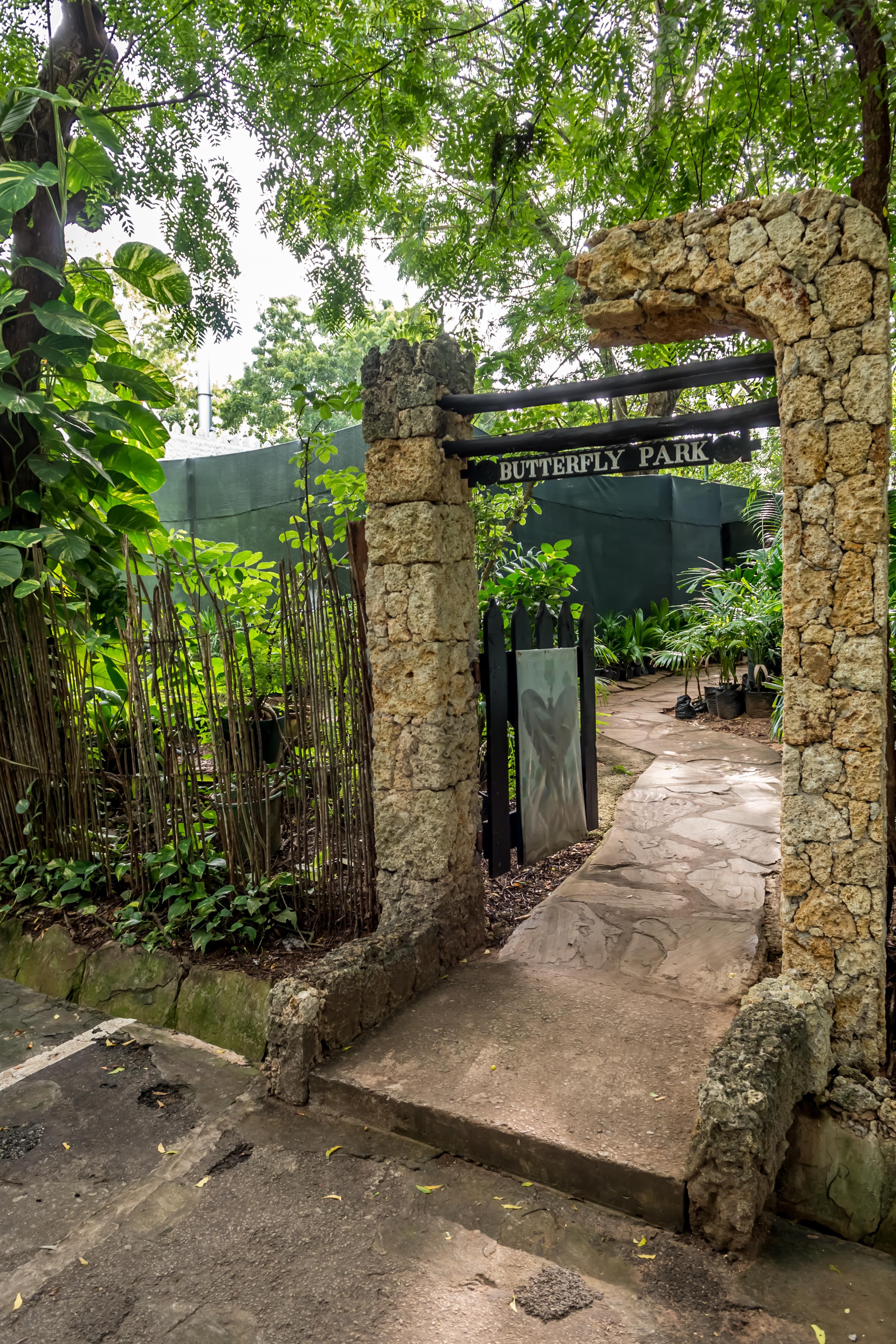 Serena Beach Hotel & Spa 8