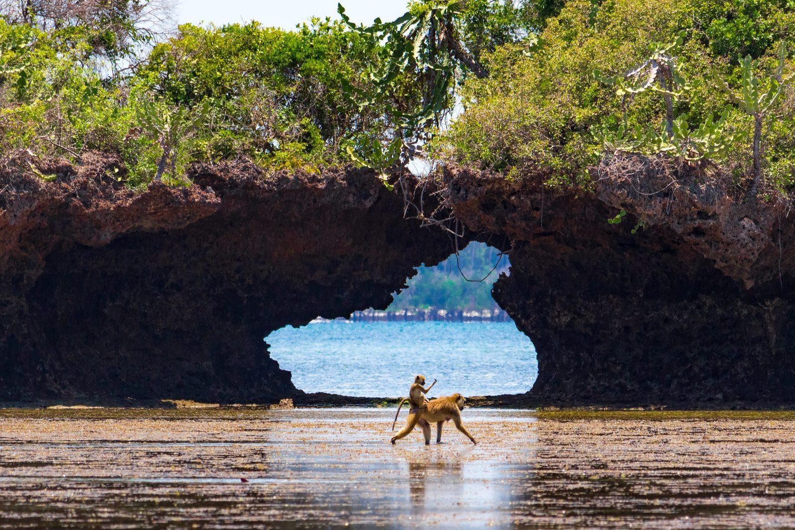 The Sands at Chale Island 33