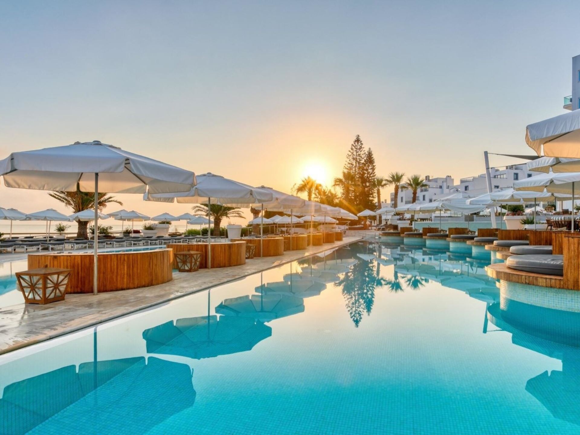 The King Jason Protaras - Designed for adults 2