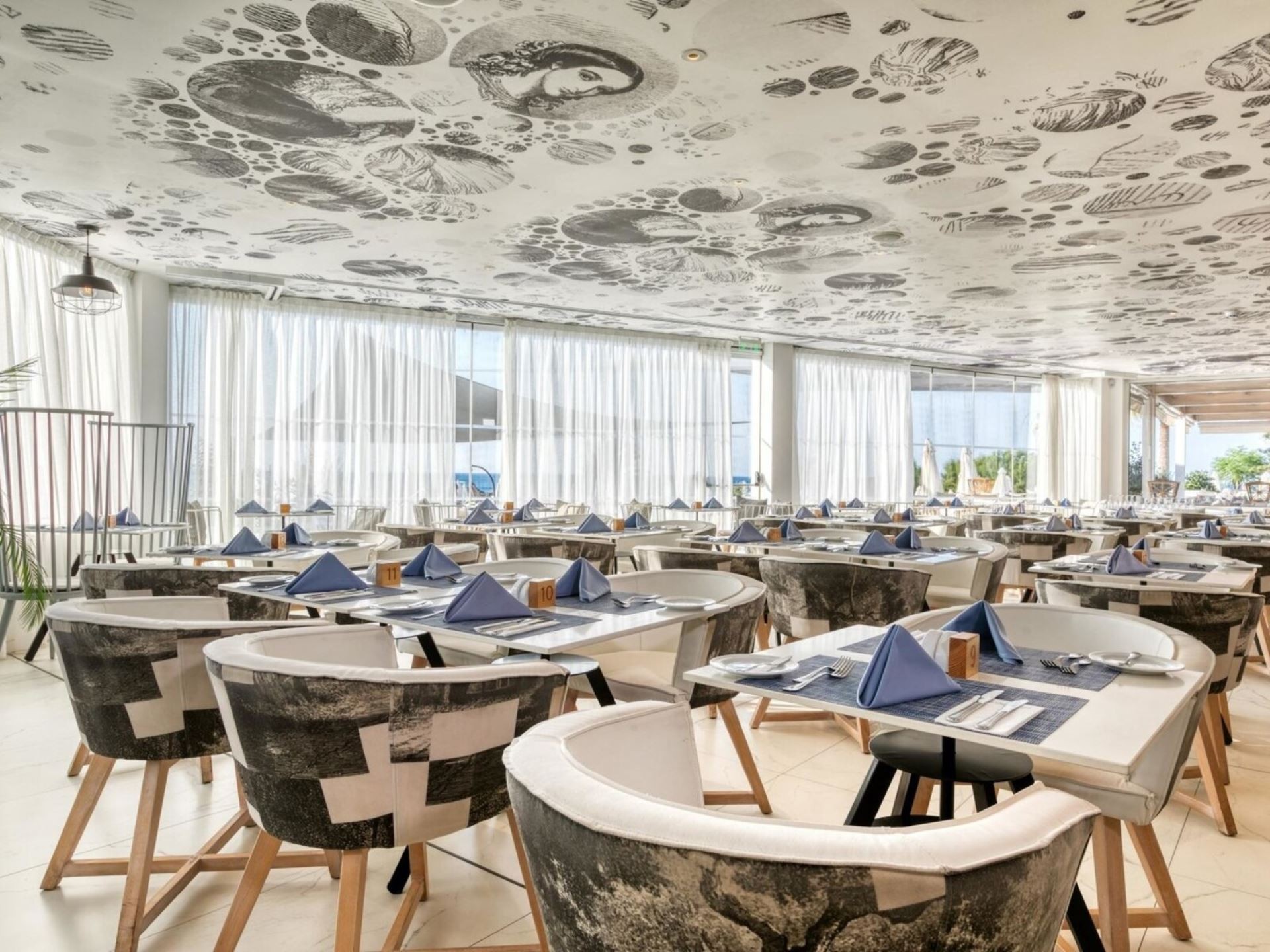 The King Jason Protaras - Designed for adults 6