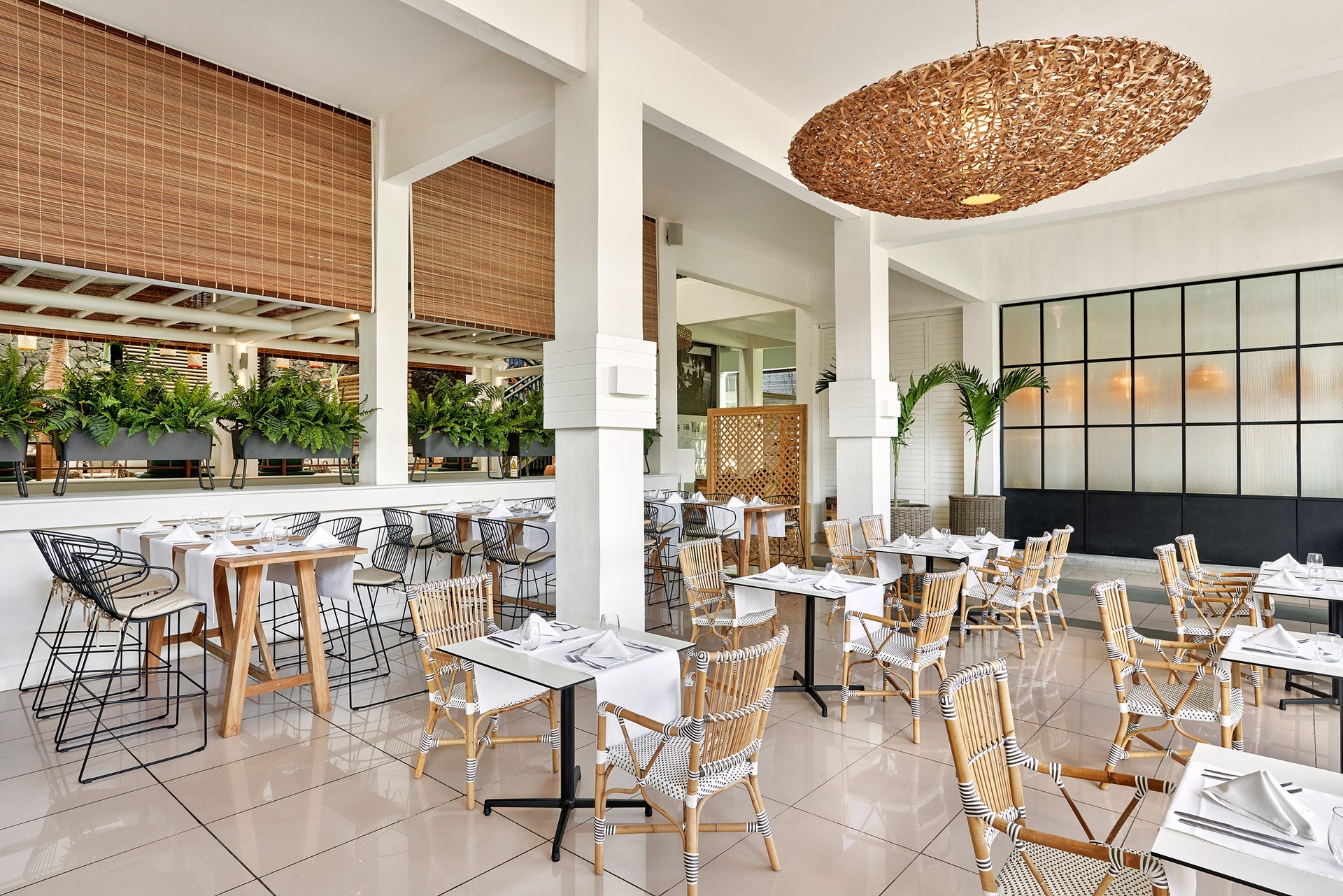 Ravenala Attitude 14