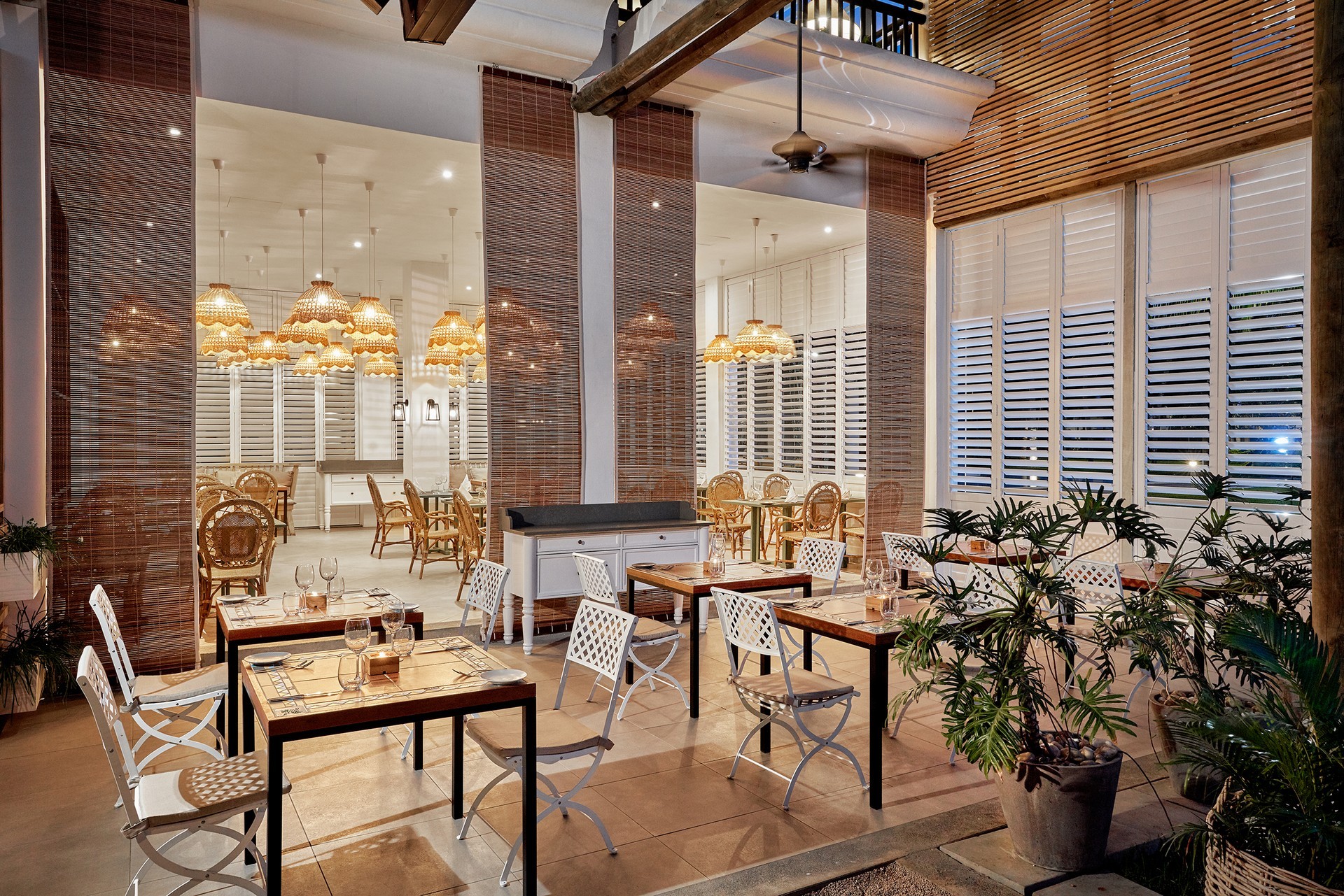 Ravenala Attitude 19