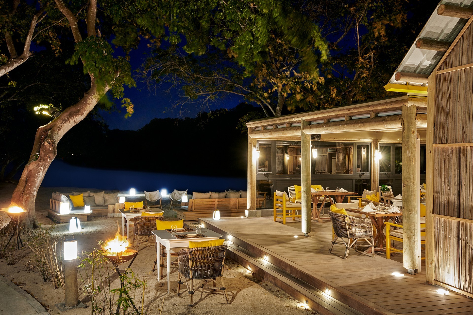 Ravenala Attitude 20