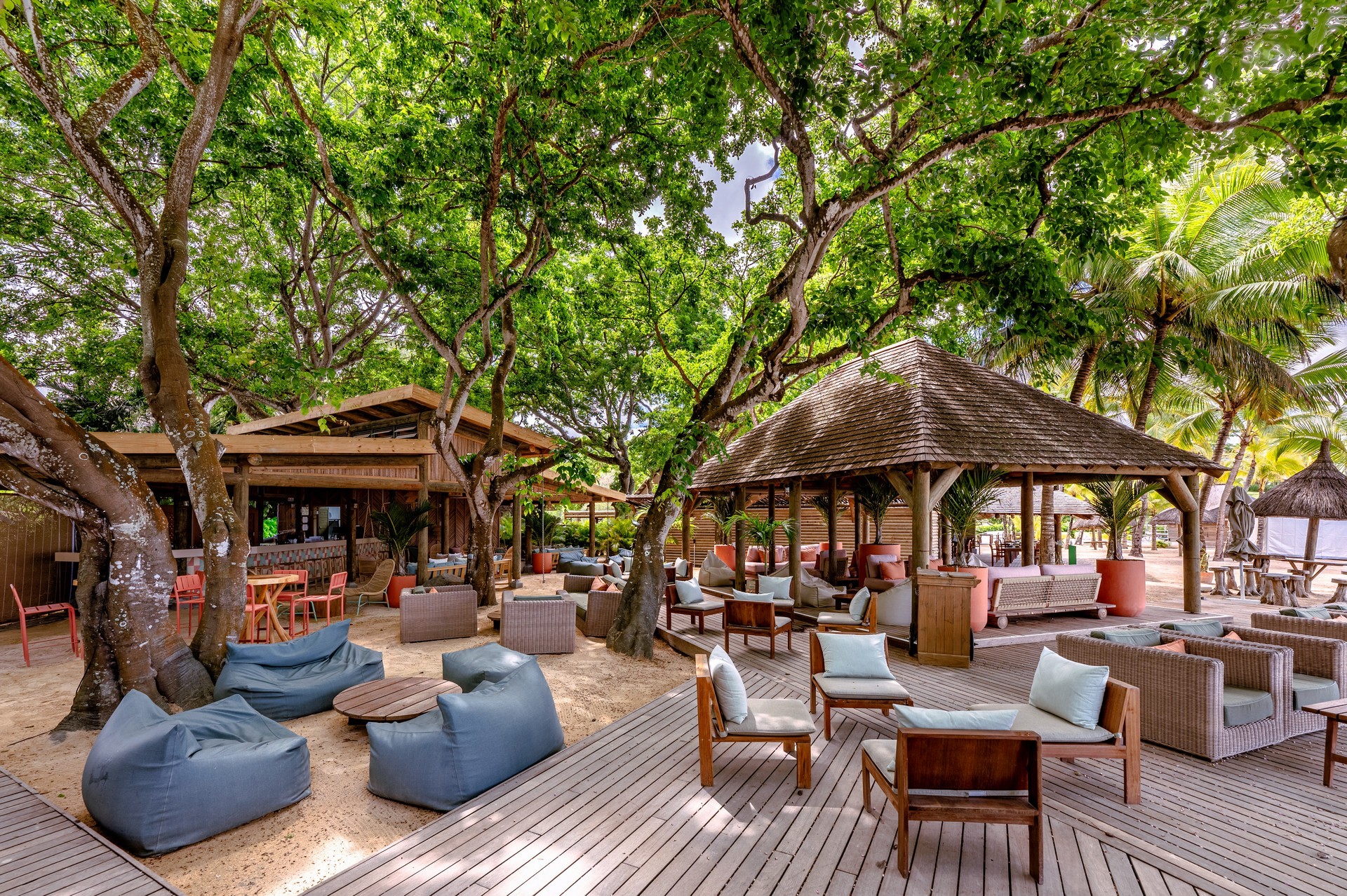 Ravenala Attitude 22