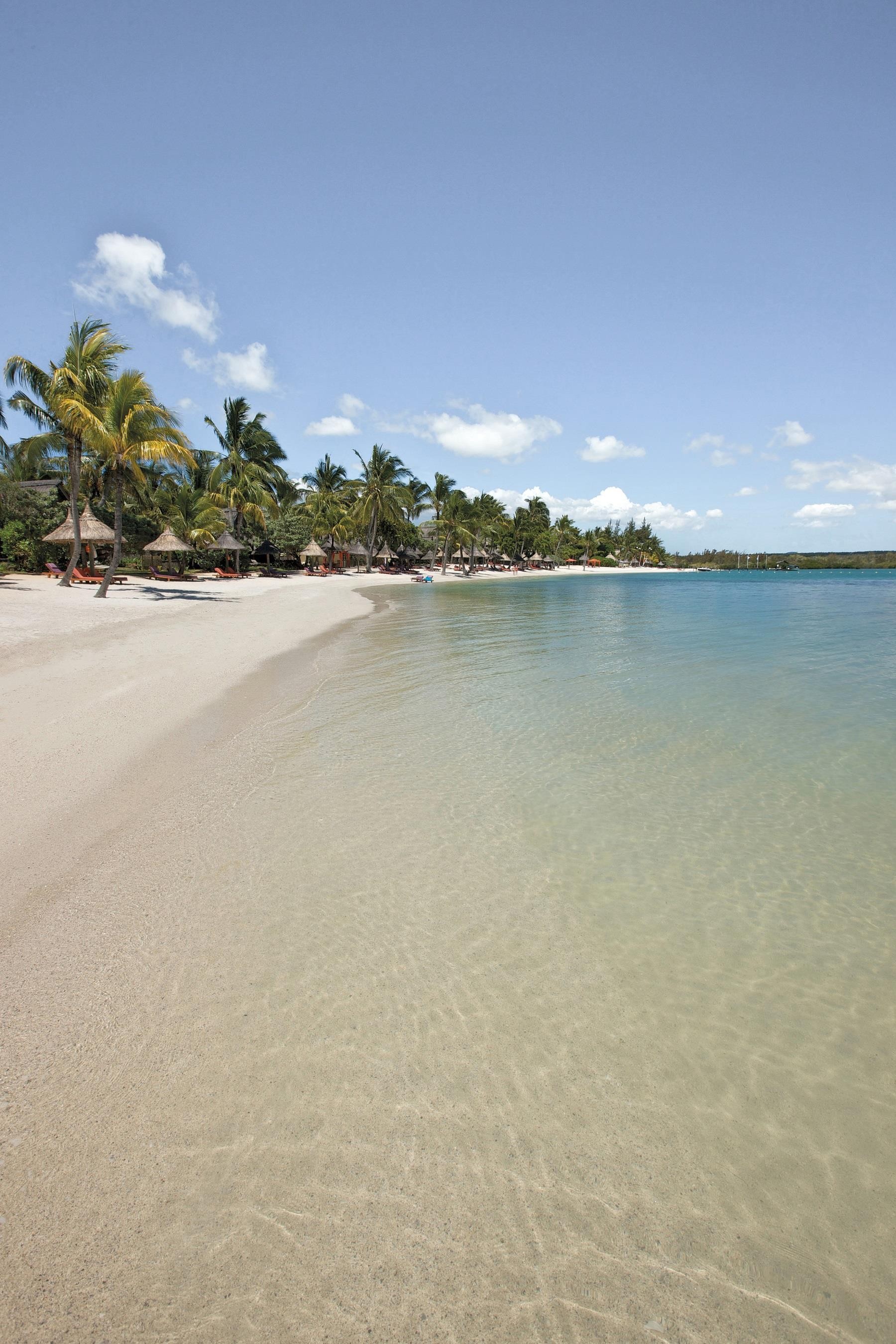 Constance Prince Maurice  28