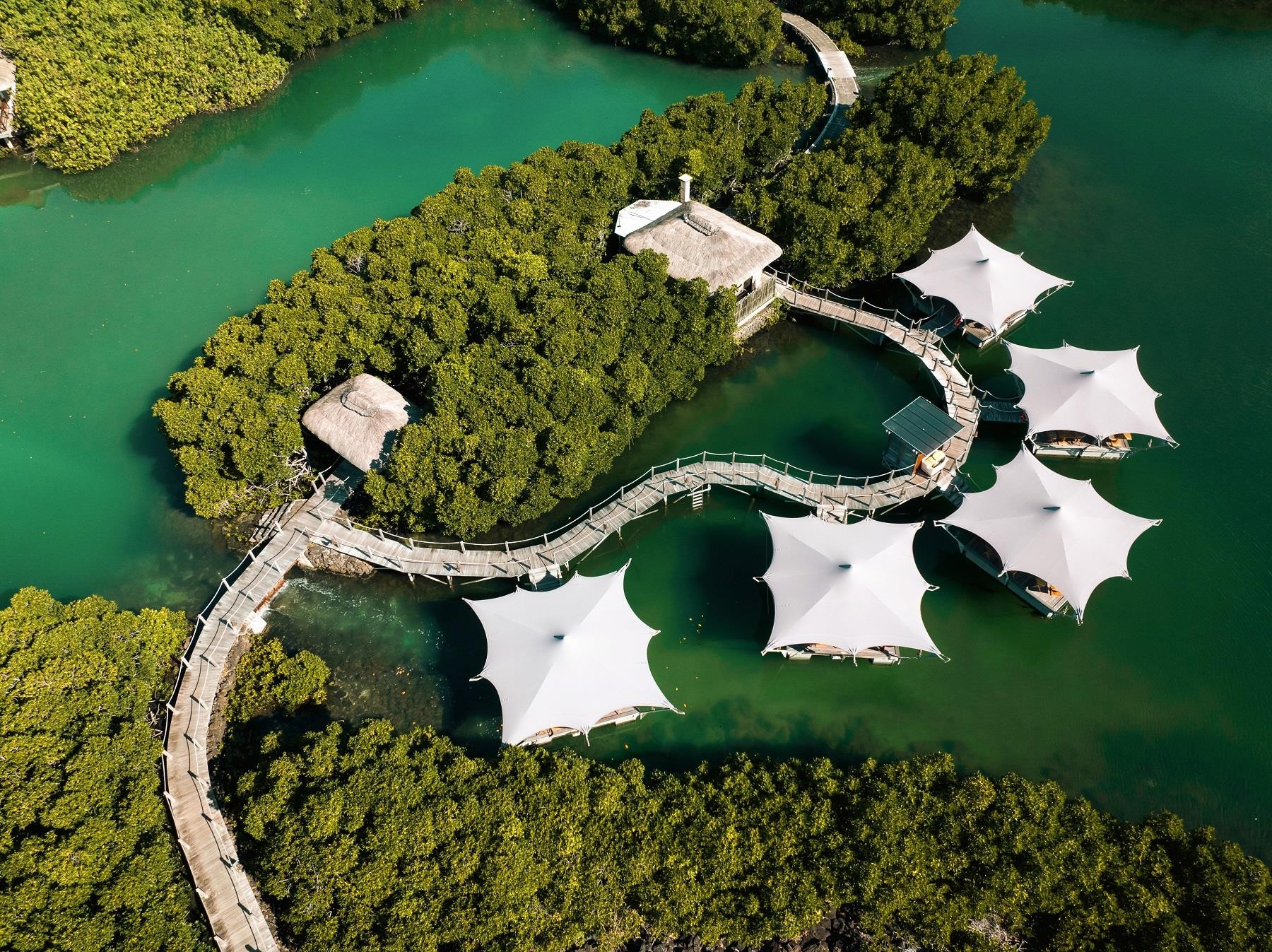 Constance Prince Maurice  35