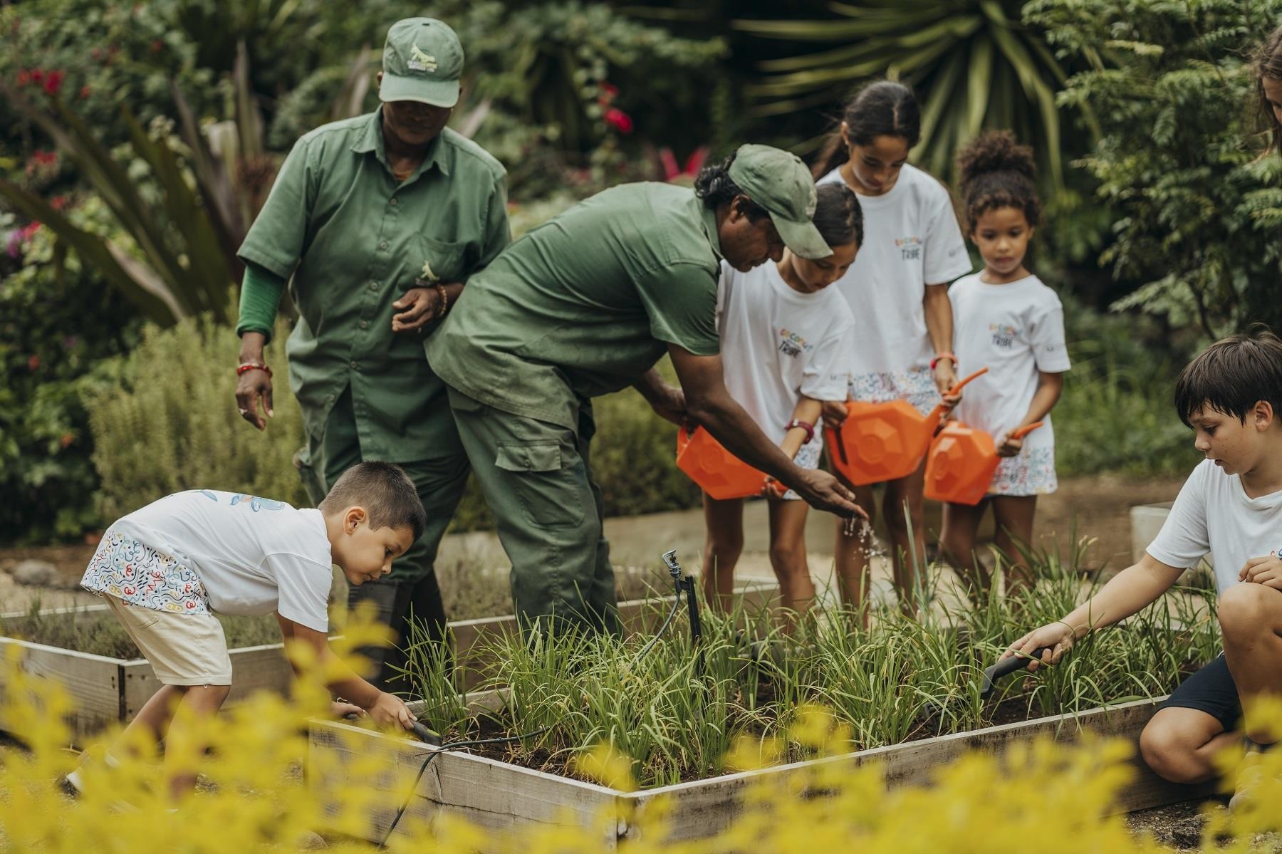Constance Prince Maurice  36