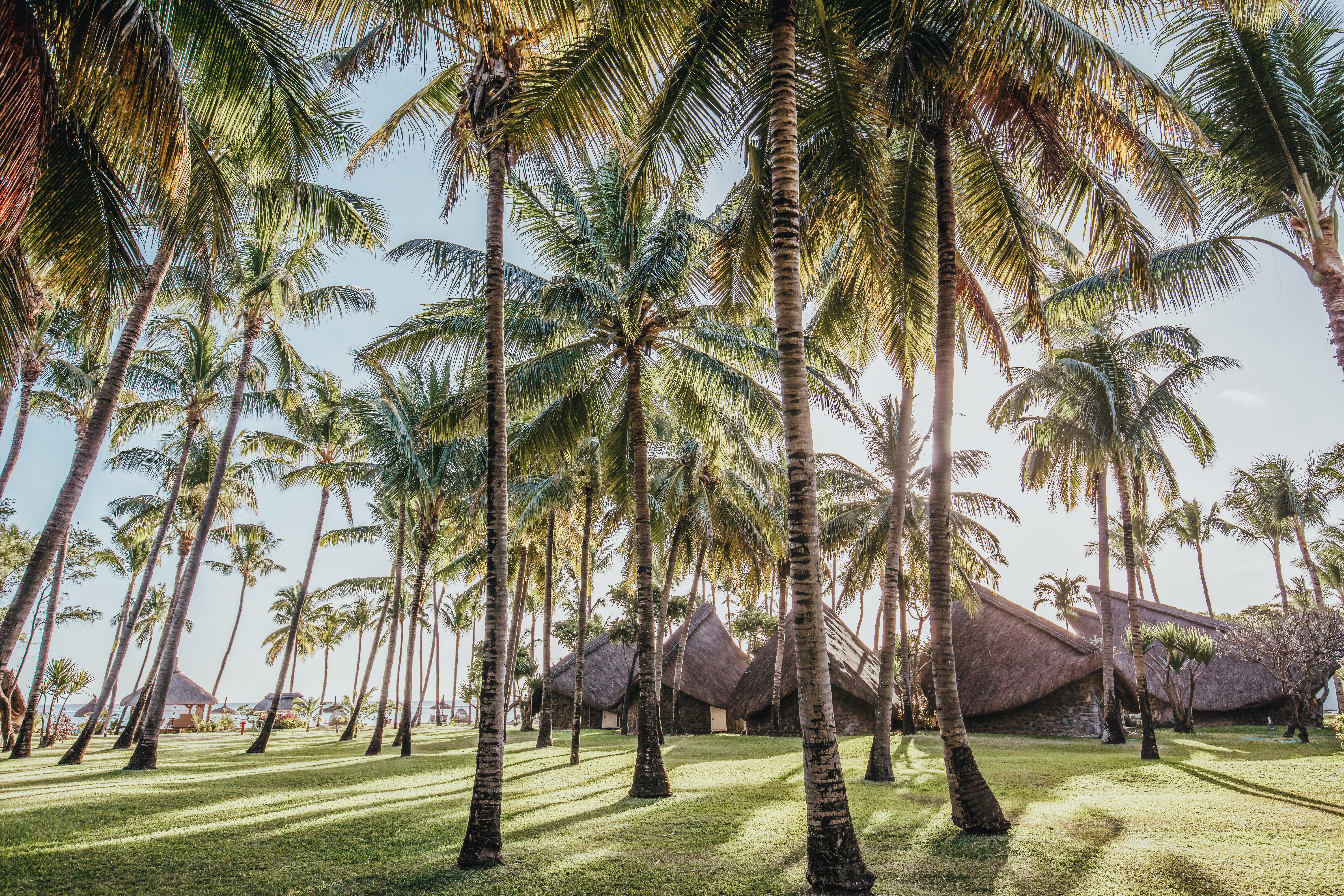 La Pirogue, A Sun Resort 5