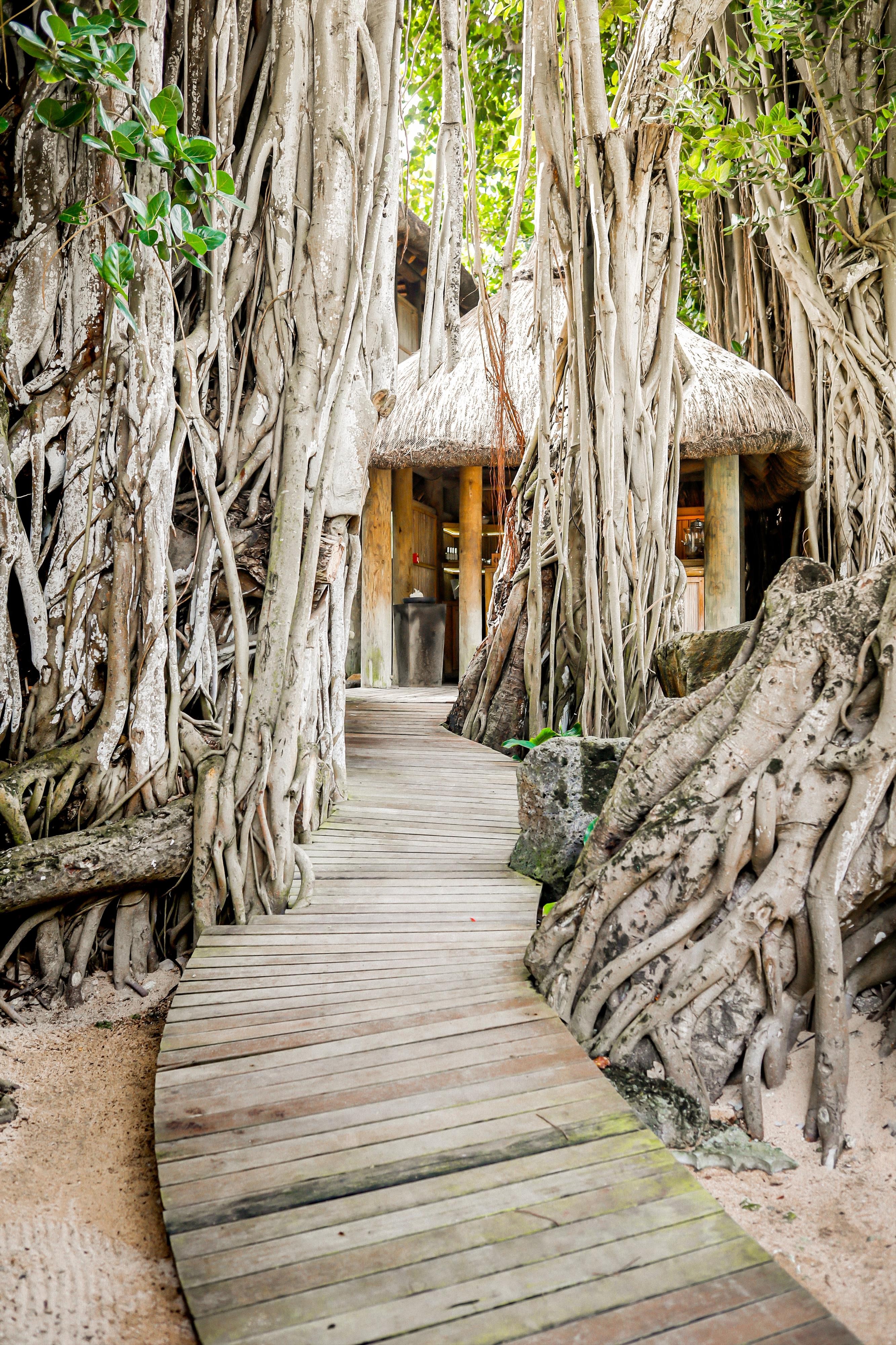 Canonnier Beachcomber Golf Resort & Spa 20