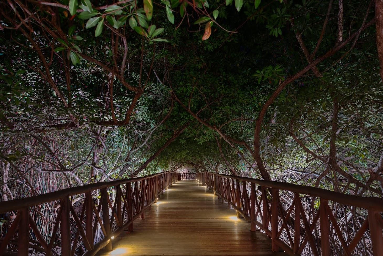 Catalonia Royal Tulum 33