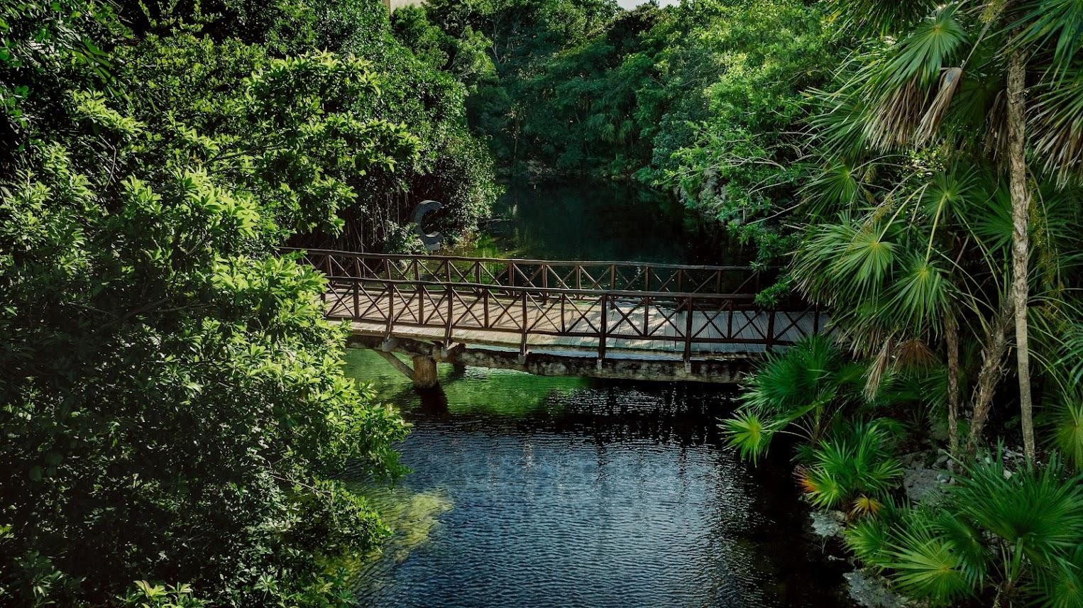 Catalonia Royal Tulum 32