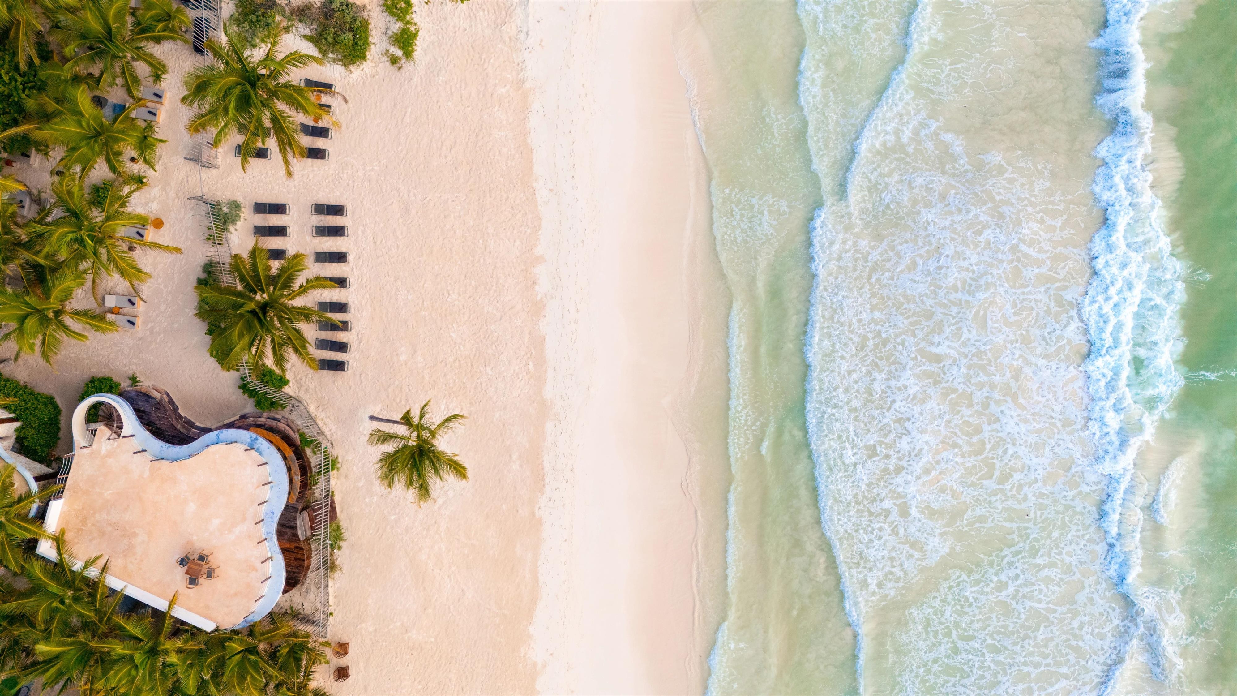 Secrets Tulum Resort & Beach Club 6