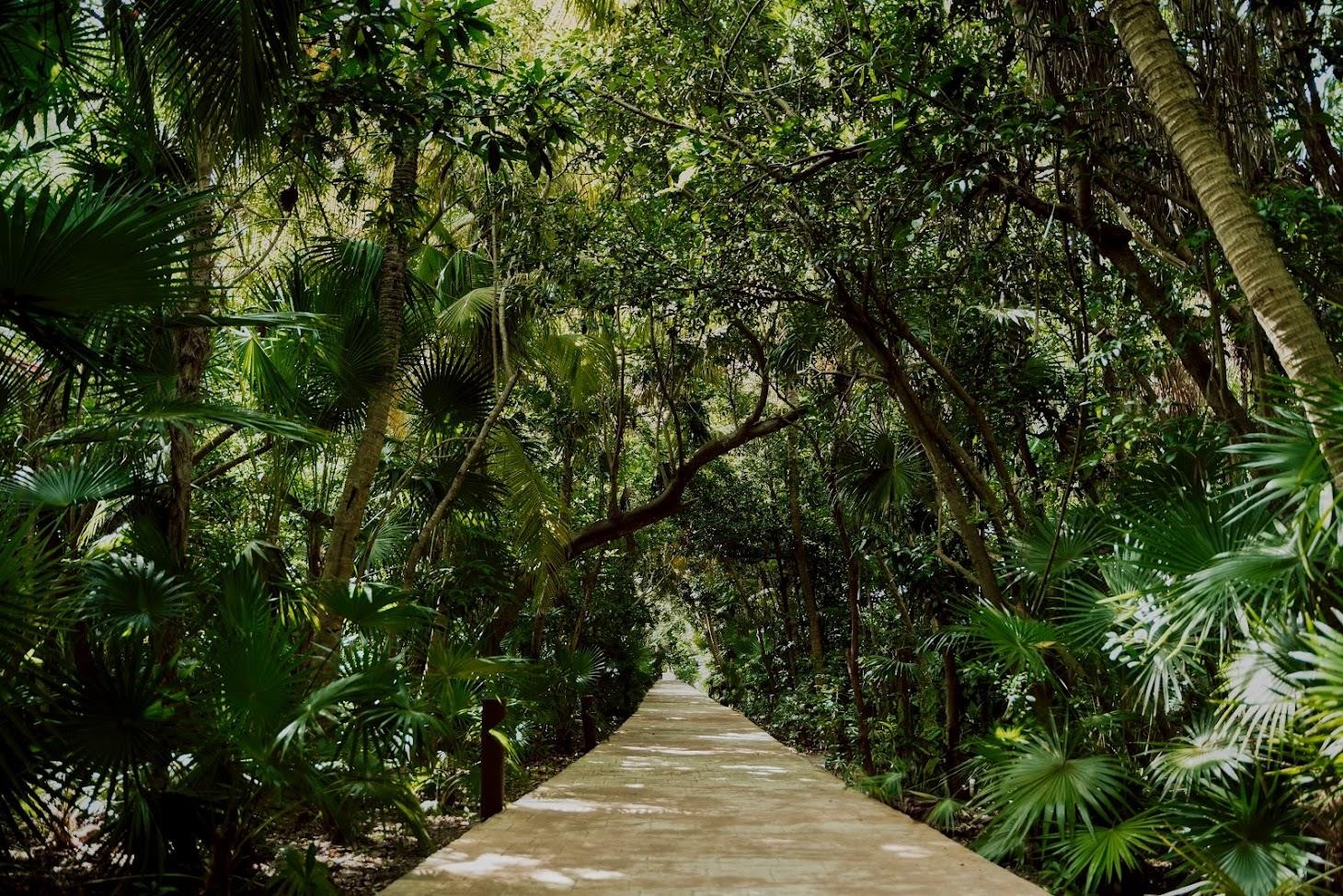 Catalonia Playa Maroma 32