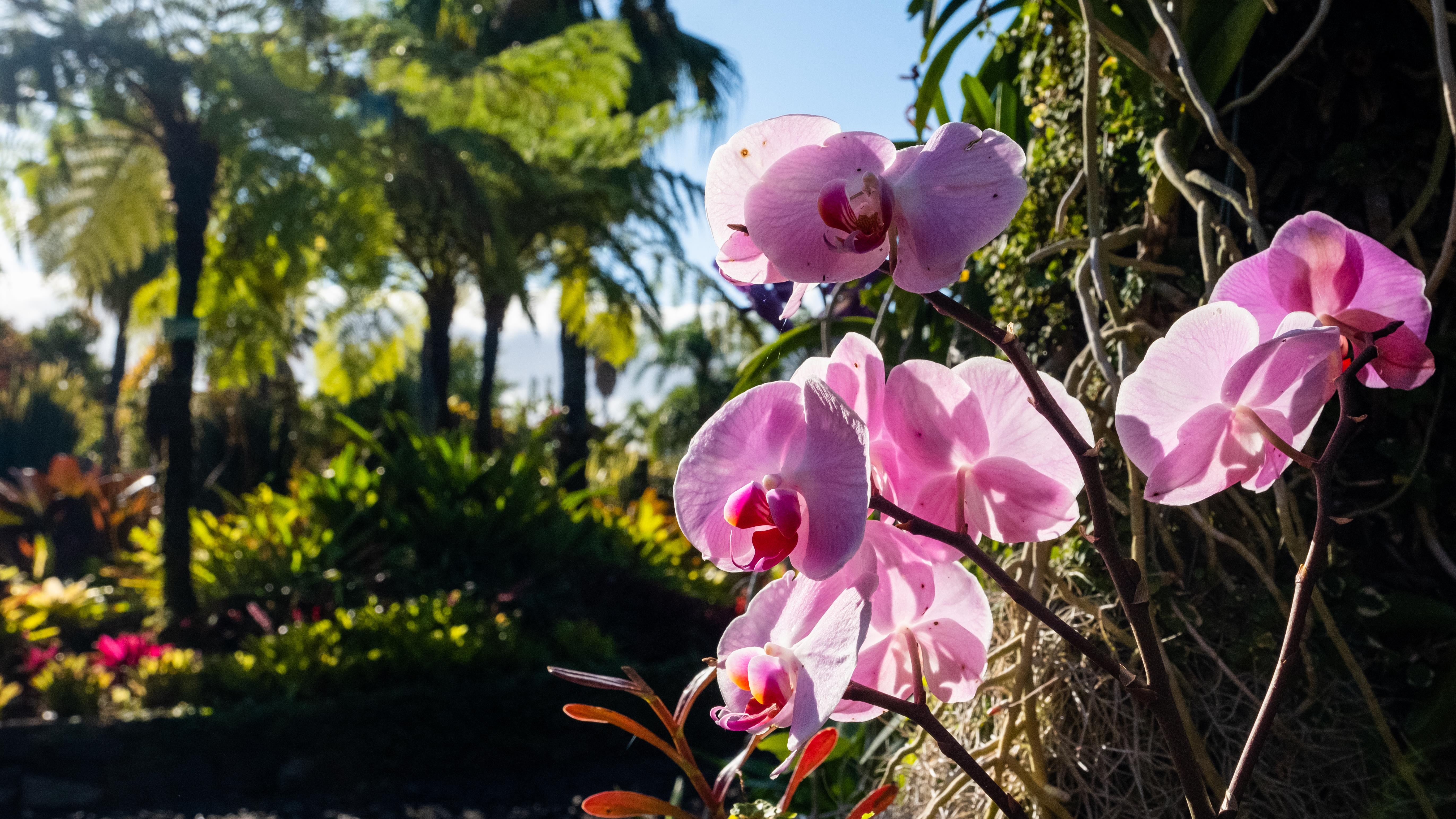 Quinta Jardins do Lago 19
