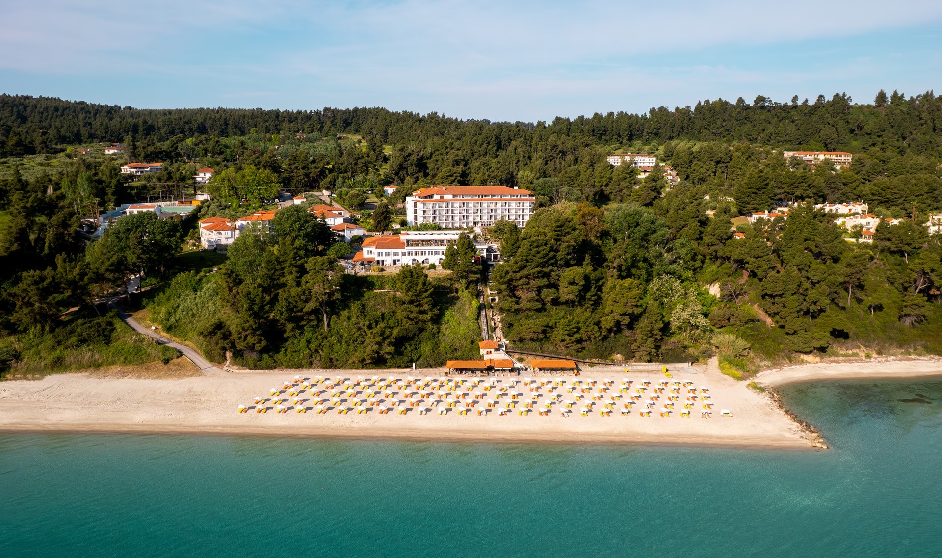 Canvas by Mitsis Alexander the Great 18