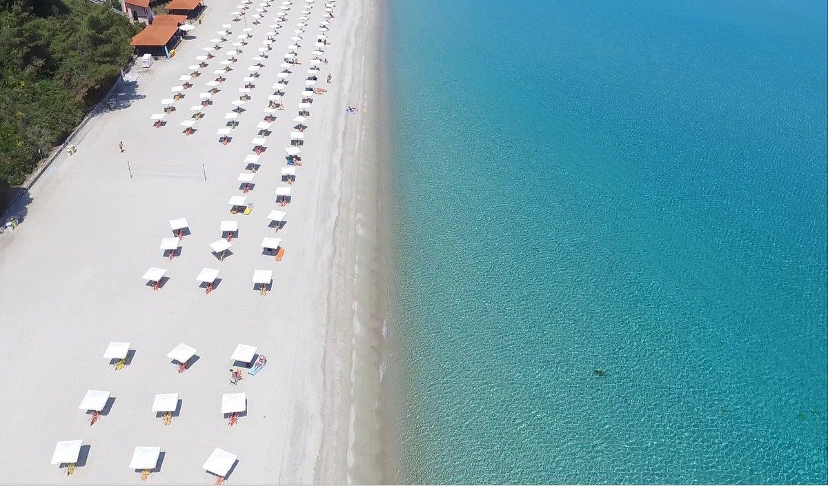 Canvas by Mitsis Alexander the Great 19