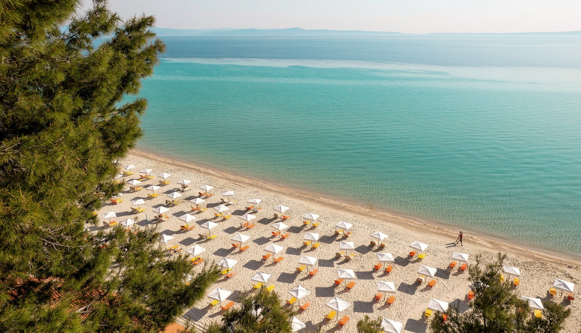 Canvas by Mitsis Alexander the Great 33