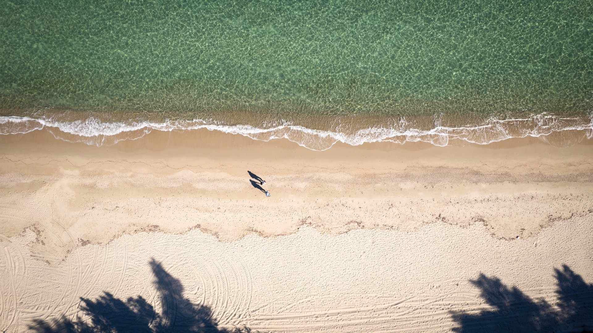 Canvas by Mitsis Alexander the Great 36