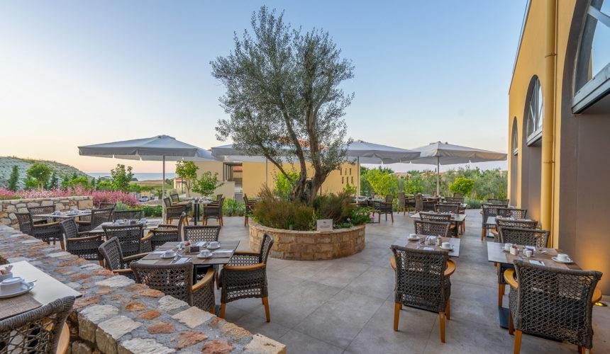 Apollonion Asterias Resort & Spa 7