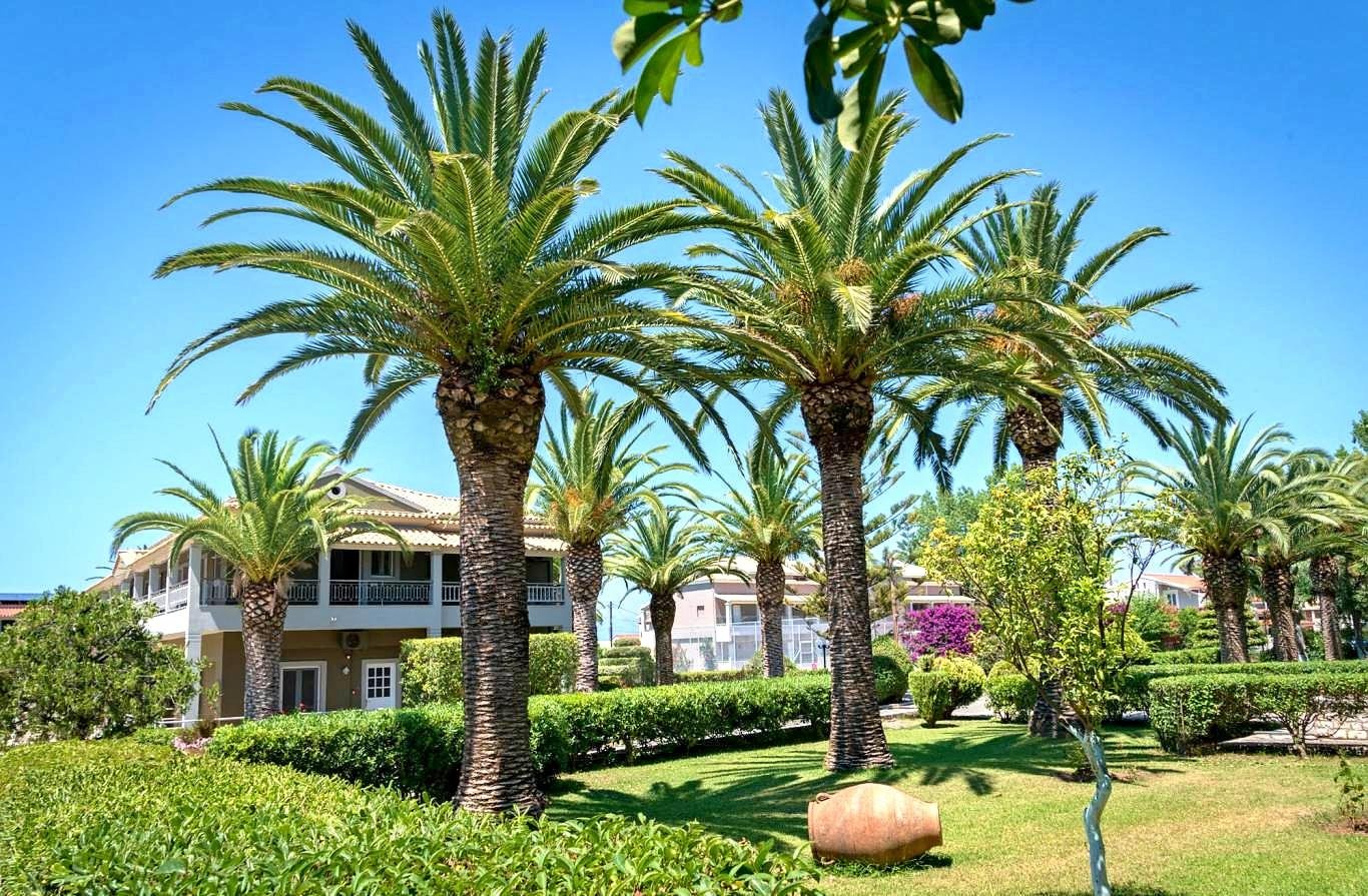 Acharavi Beach Hotel 26