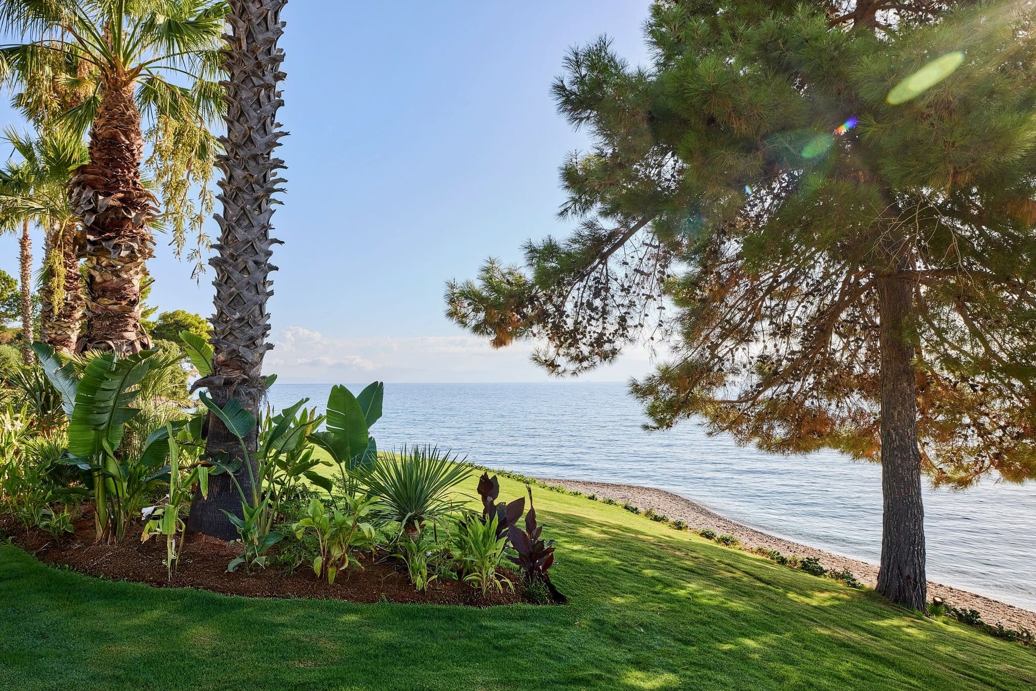 Avali, Mar-Bella Collection 18