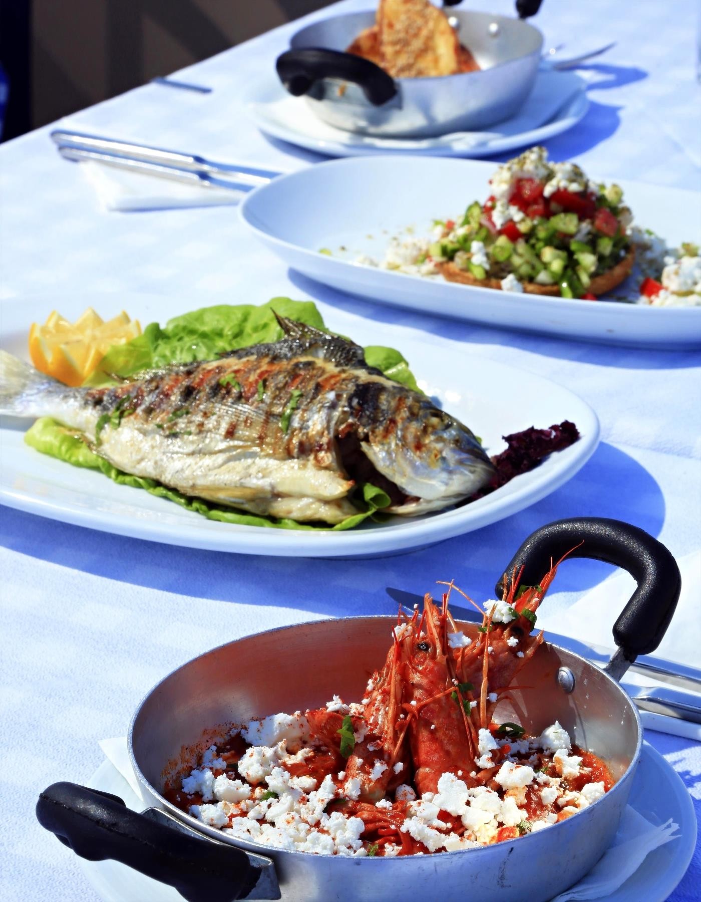 White Olive Marine Aquapark 36