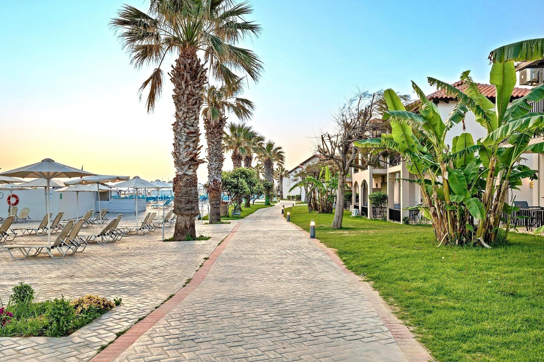 White Olive Marine Aquapark 24