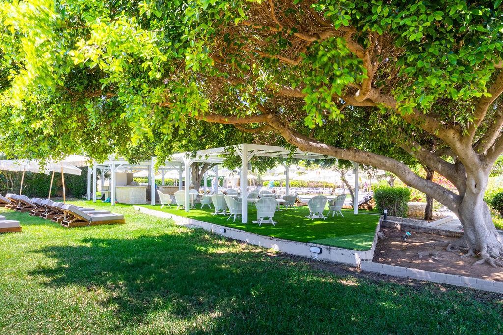 Dias by Azul Collection 28