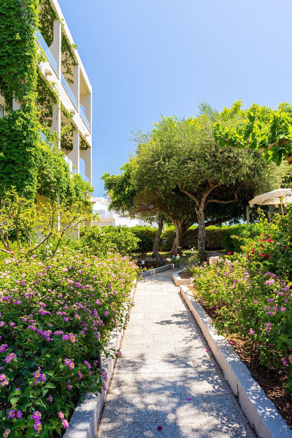 Dias by Azul Collection 33