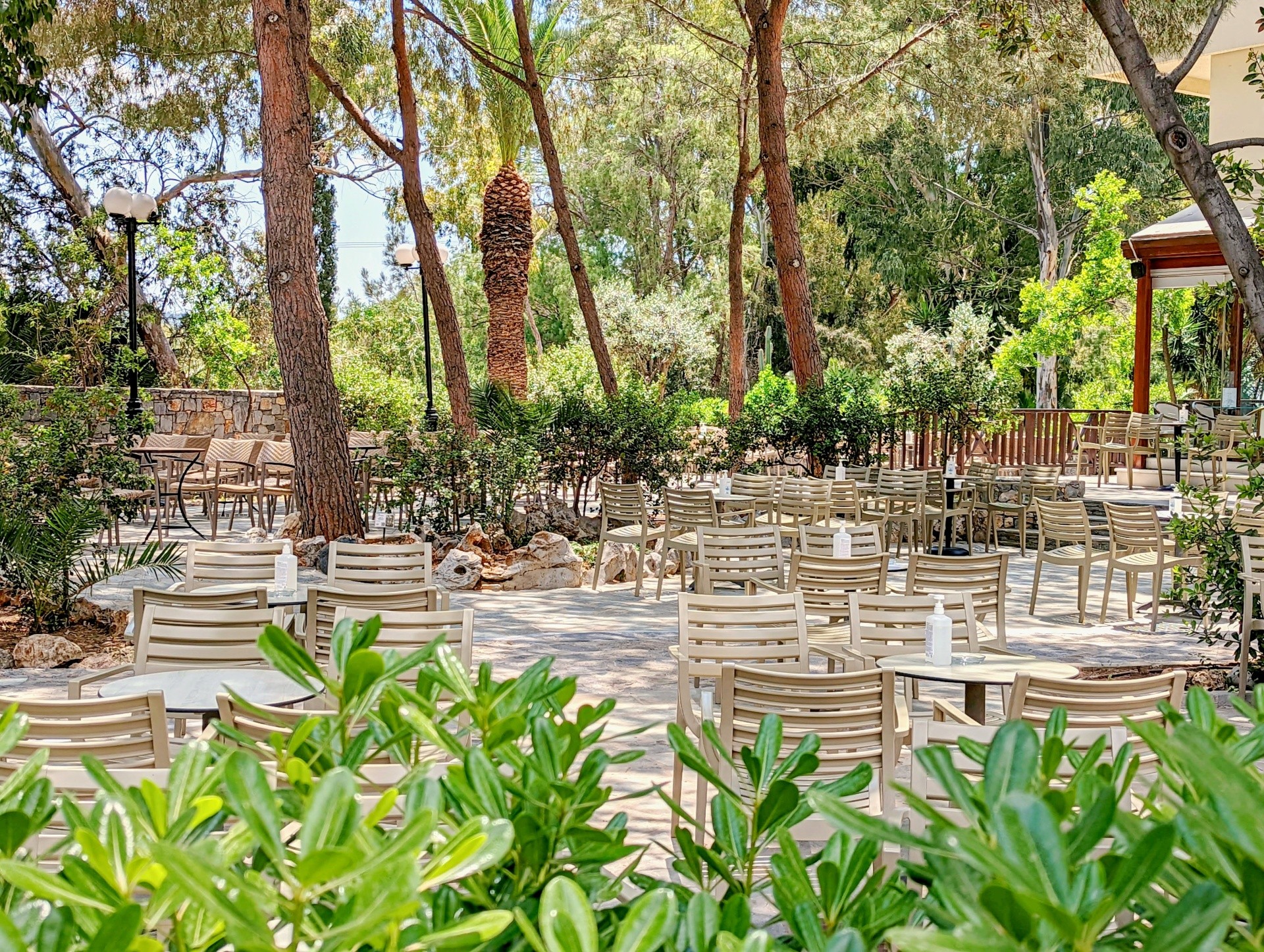 Apollonia Beach Resort & Spa 21