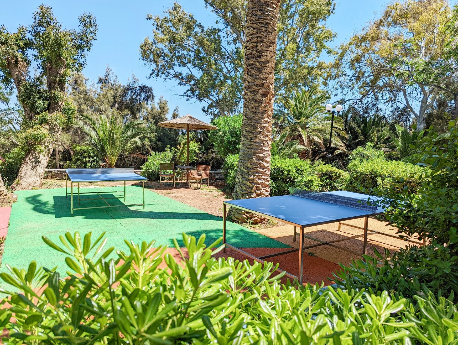 Apollonia Beach Resort & Spa 36