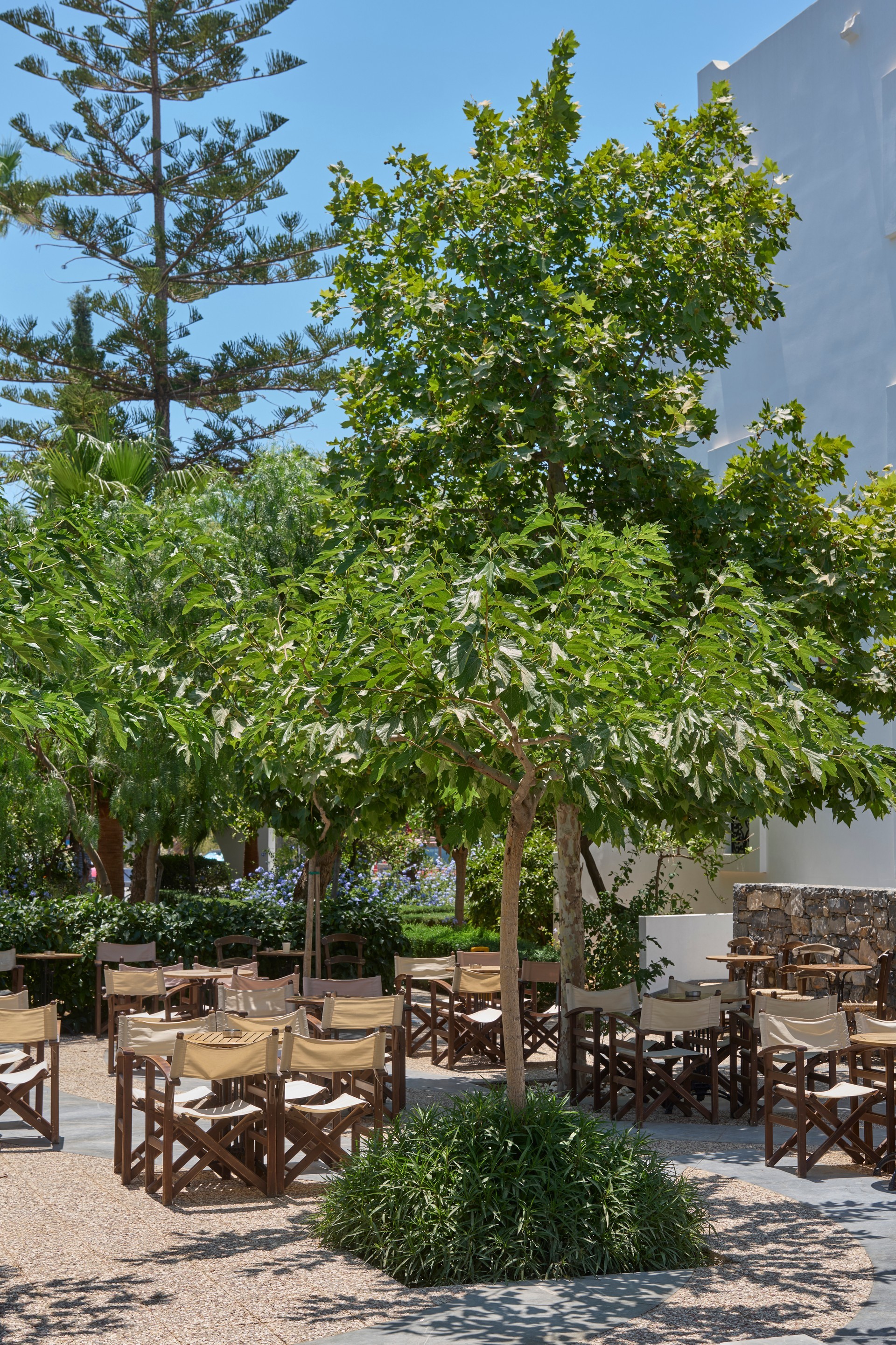 Atlantica Akti Zeus 20