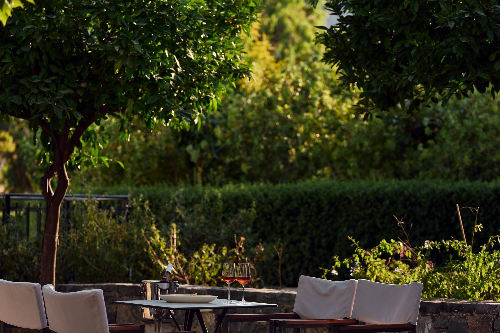 Atlantica Akti Zeus 19