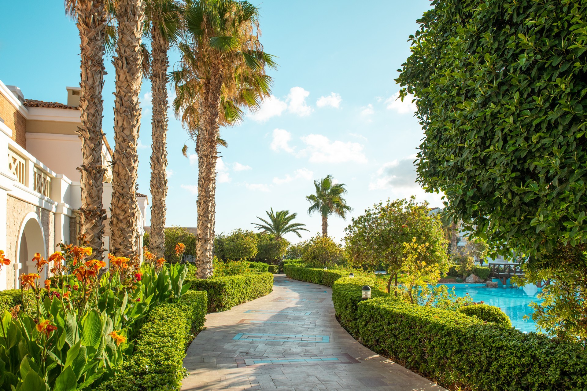 MITSIS ROYAL MARE 23