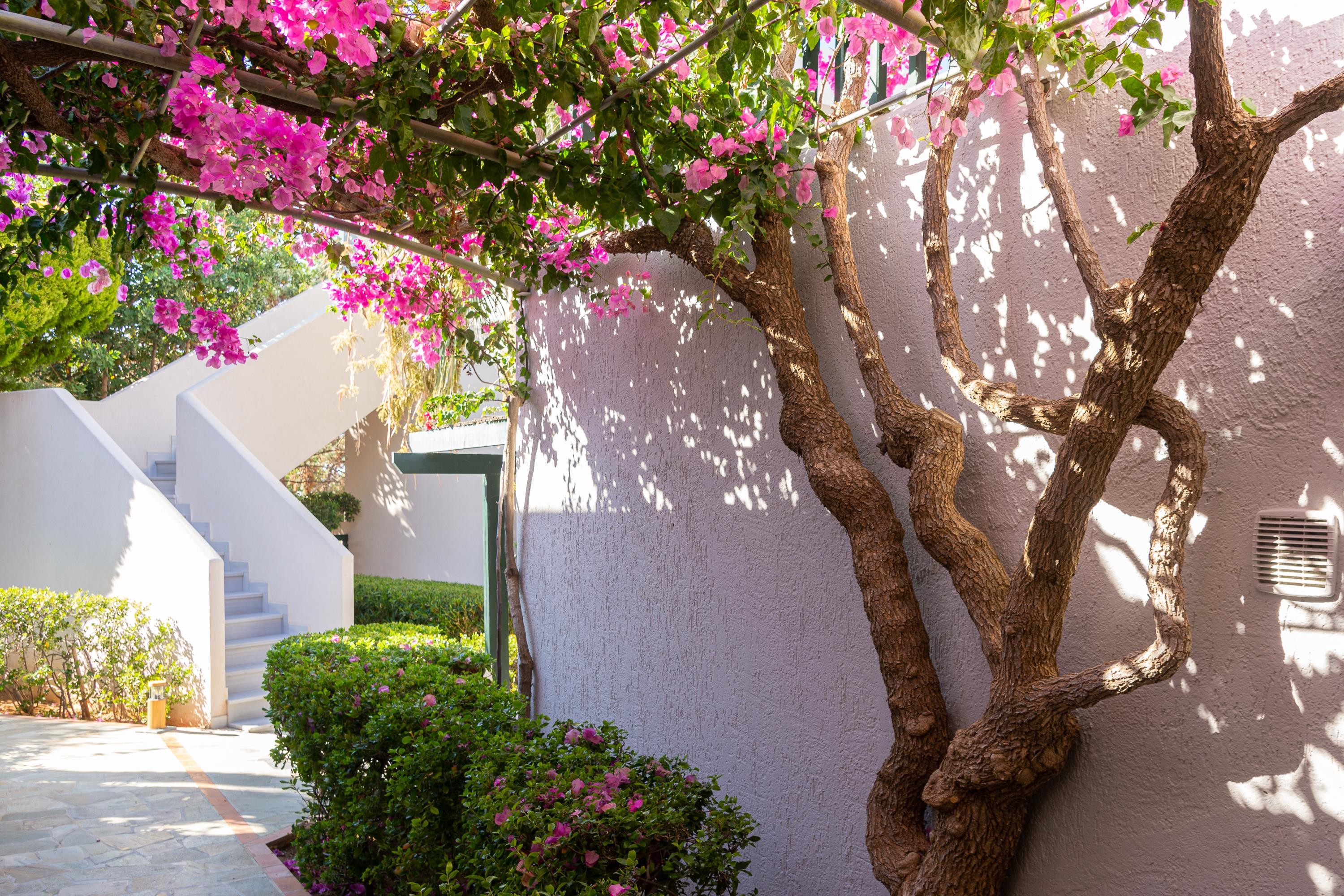 Anna Maria Village 63