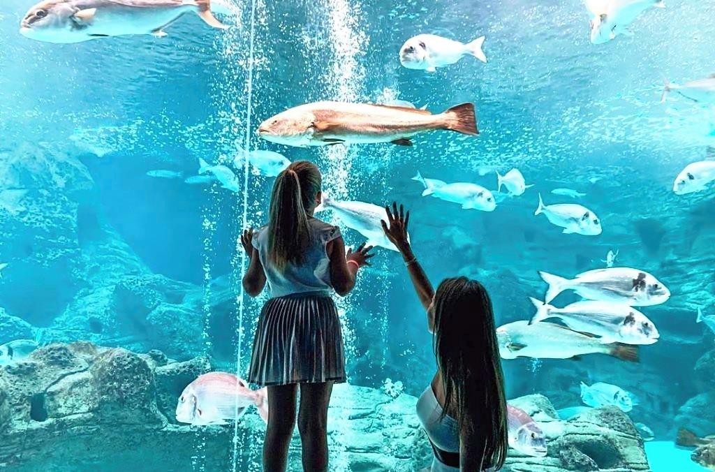 MITSIS SELECTION LAGUNA 25