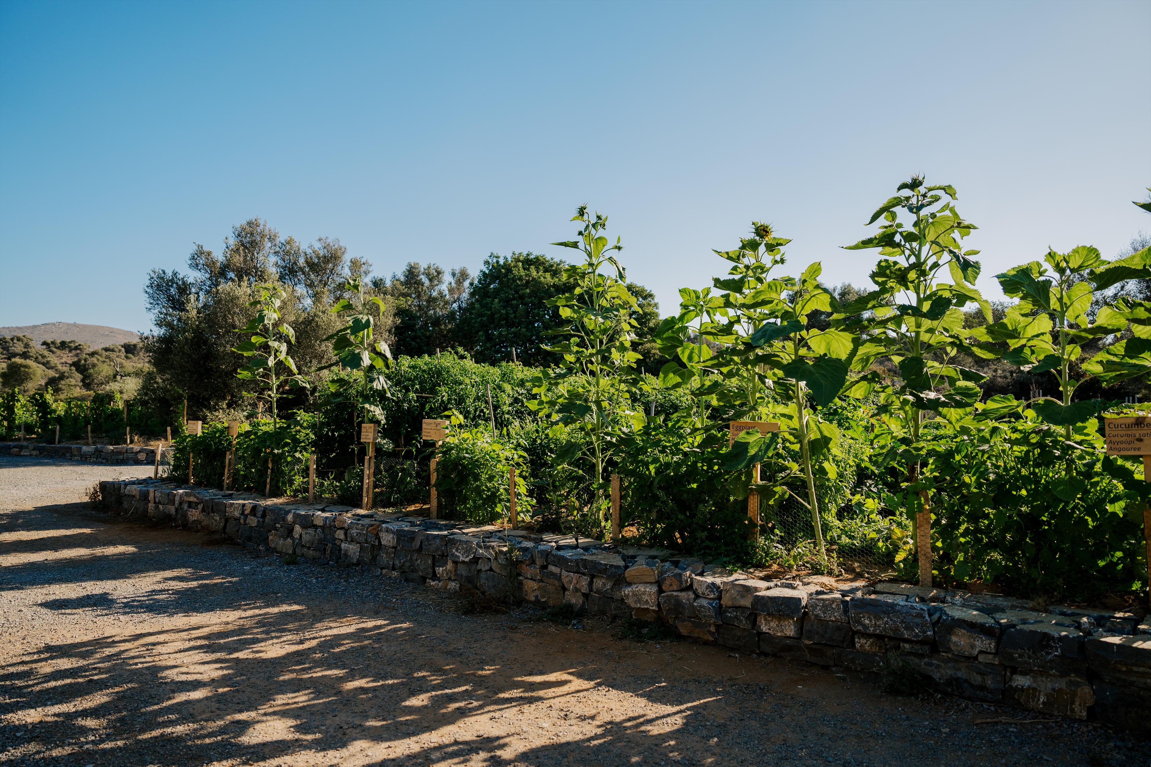 Village Heights Resort 19