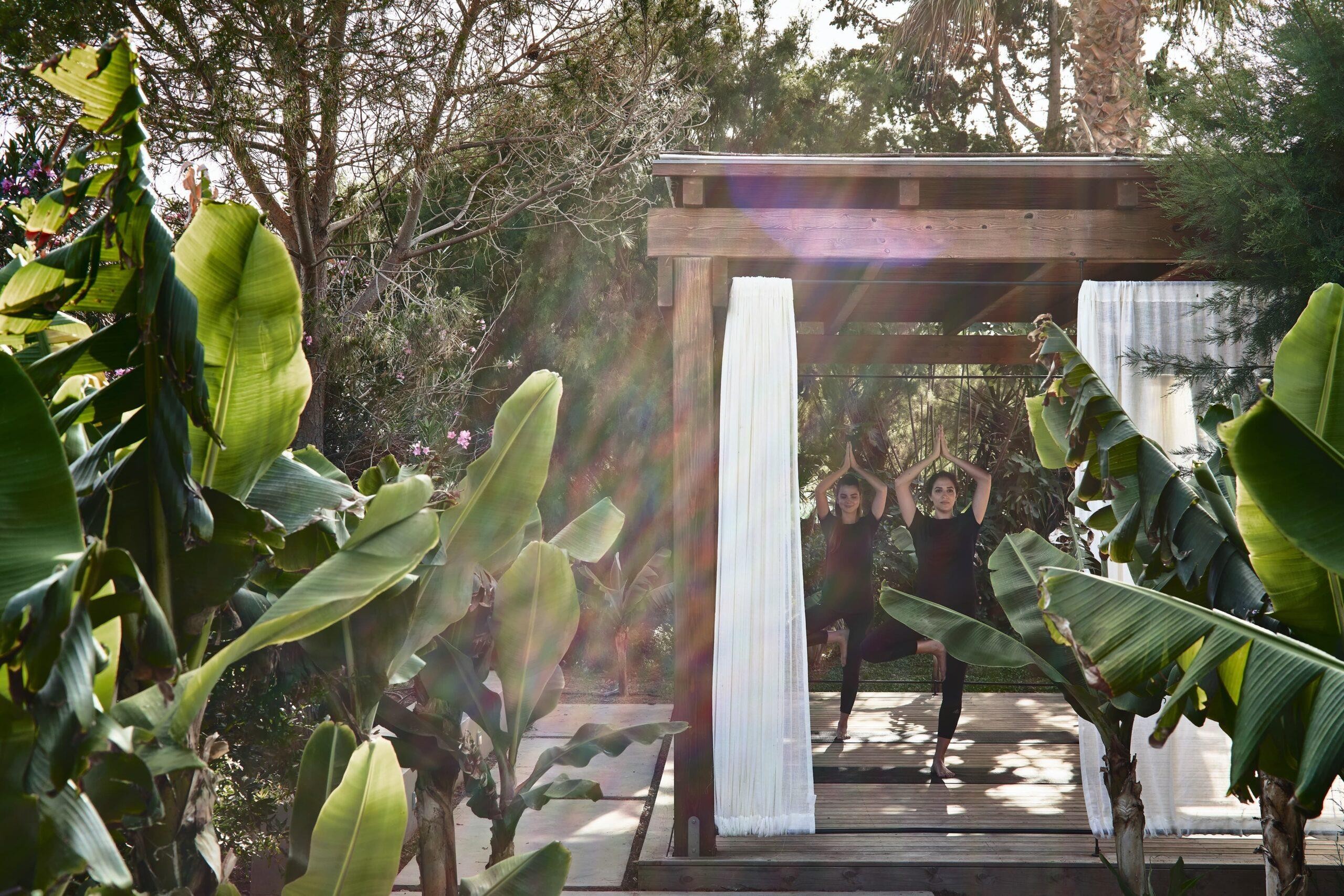 Phaea Cretan Malia 32