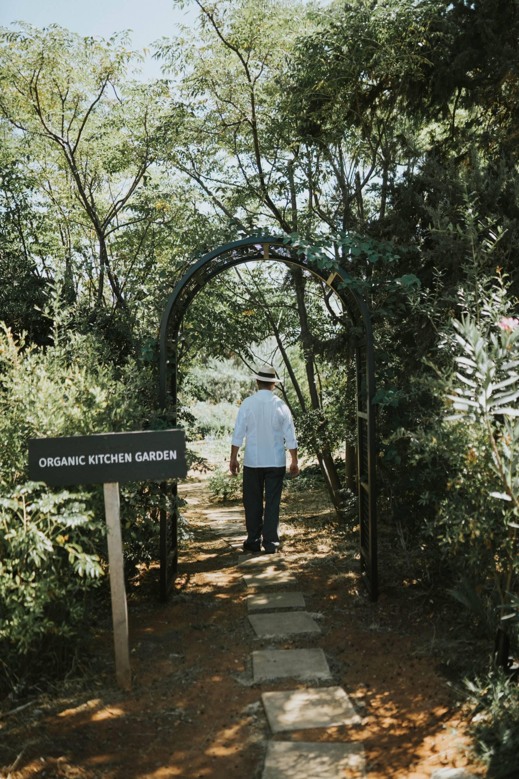 Phaea Cretan Malia 31