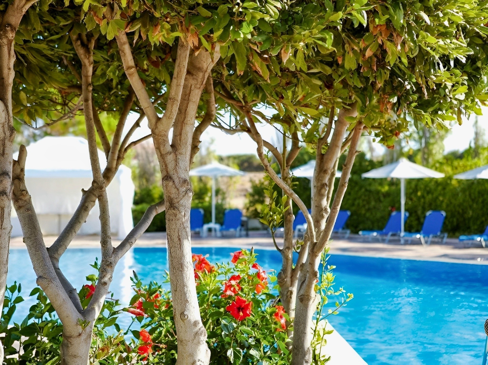 Grecotel Meli Palace 14