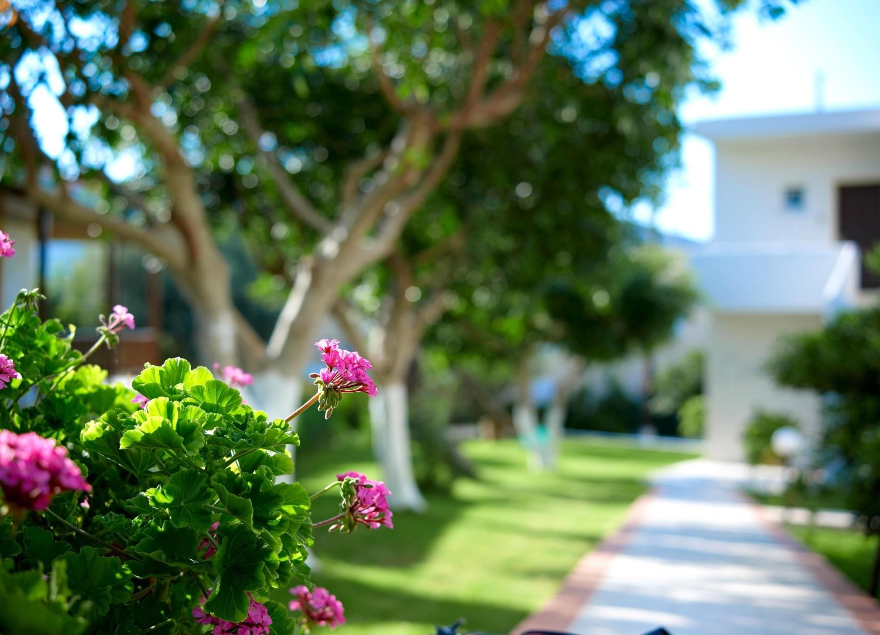 Katrin Hotel & Bungalows 27