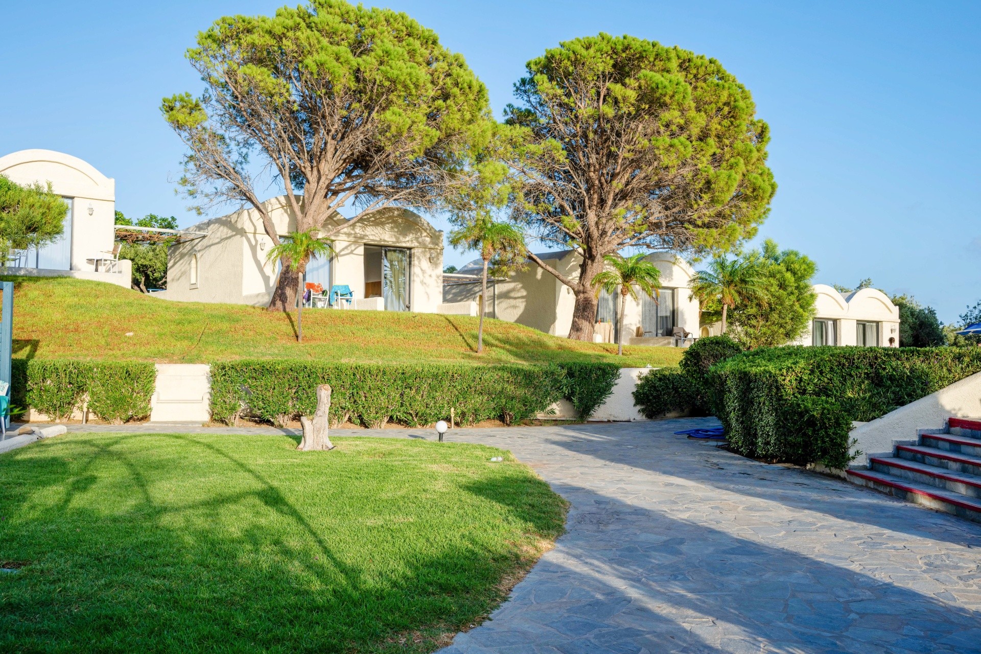 Mare Blue Sunshine 33