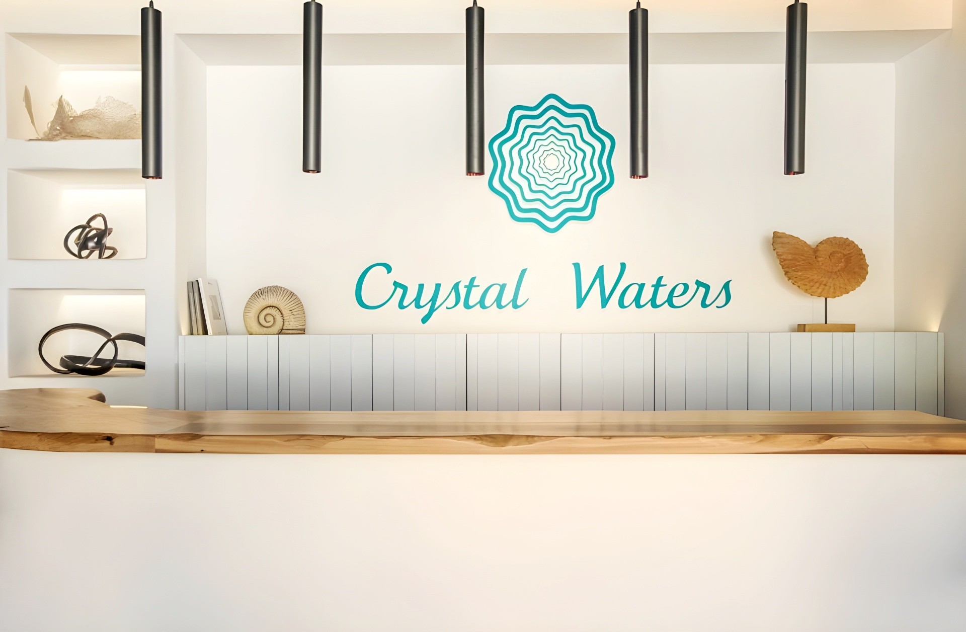Crystal Waters 30